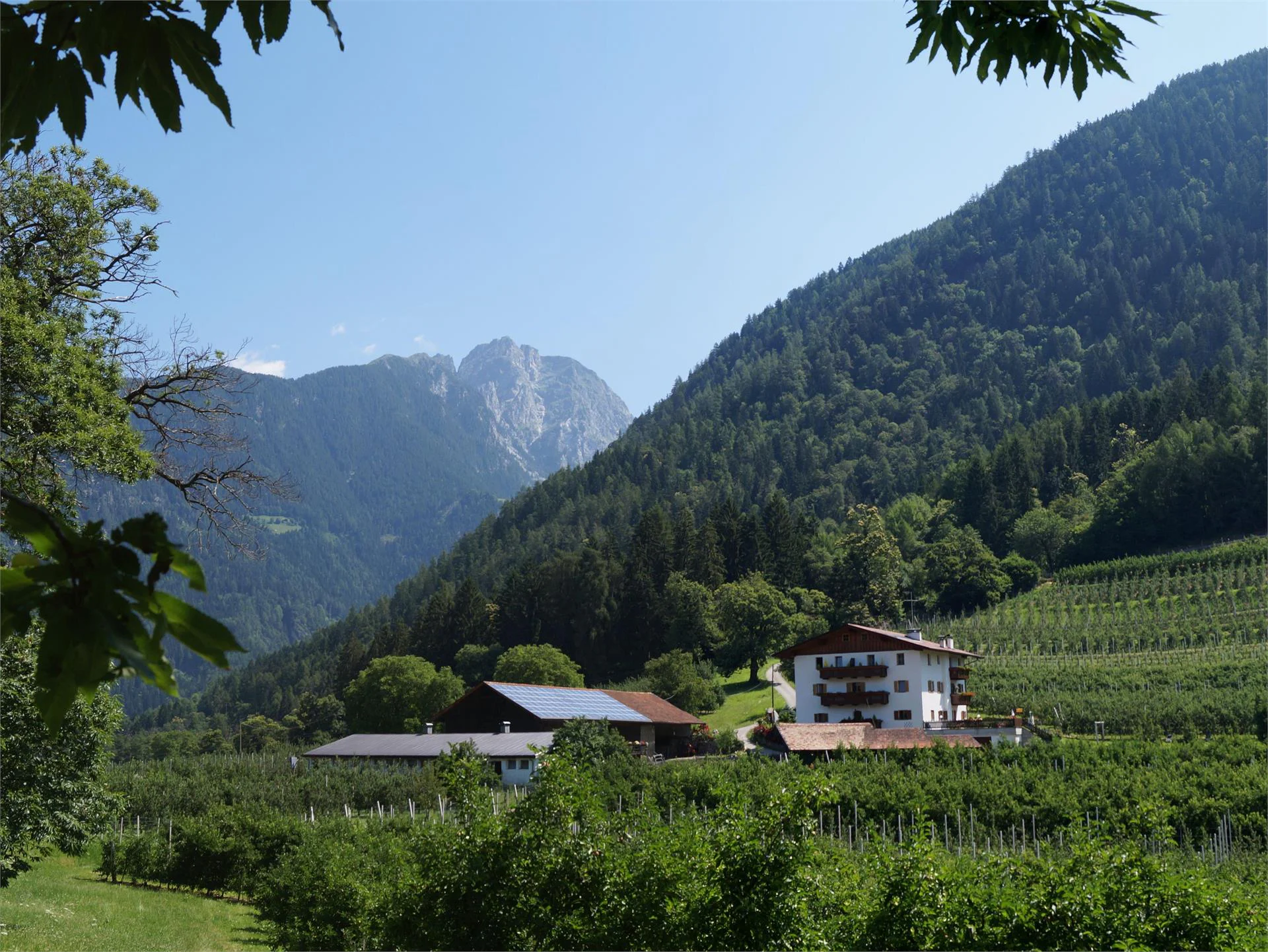 App. Grumserhof Merano 1 suedtirol.info