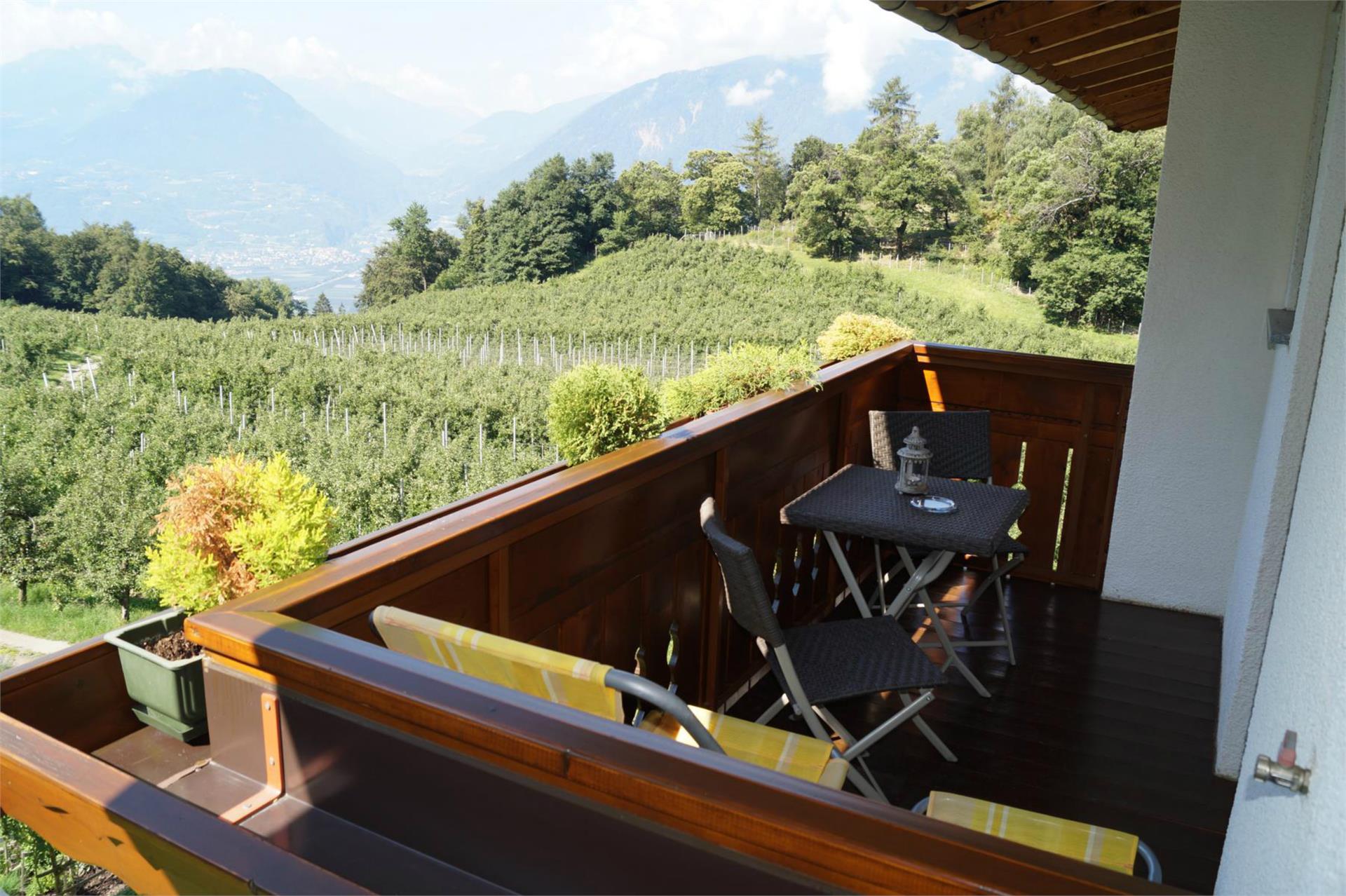 App. Grumserhof Meran 18 suedtirol.info