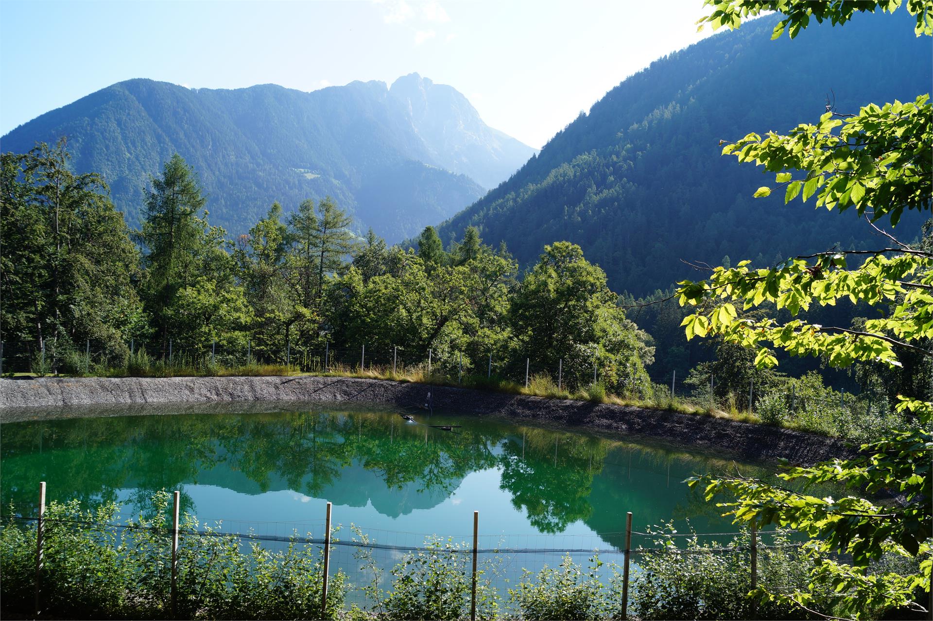App. Grumserhof Meran 19 suedtirol.info