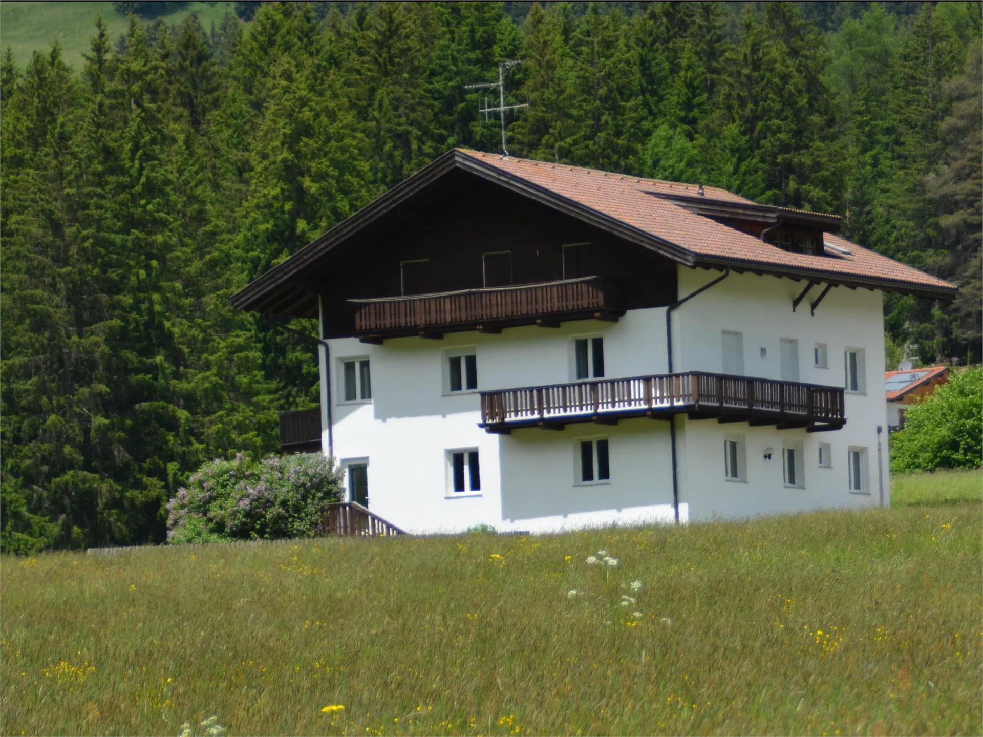 Appartements Natura Welsberg-Taisten/Monguelfo-Tesido 1 suedtirol.info