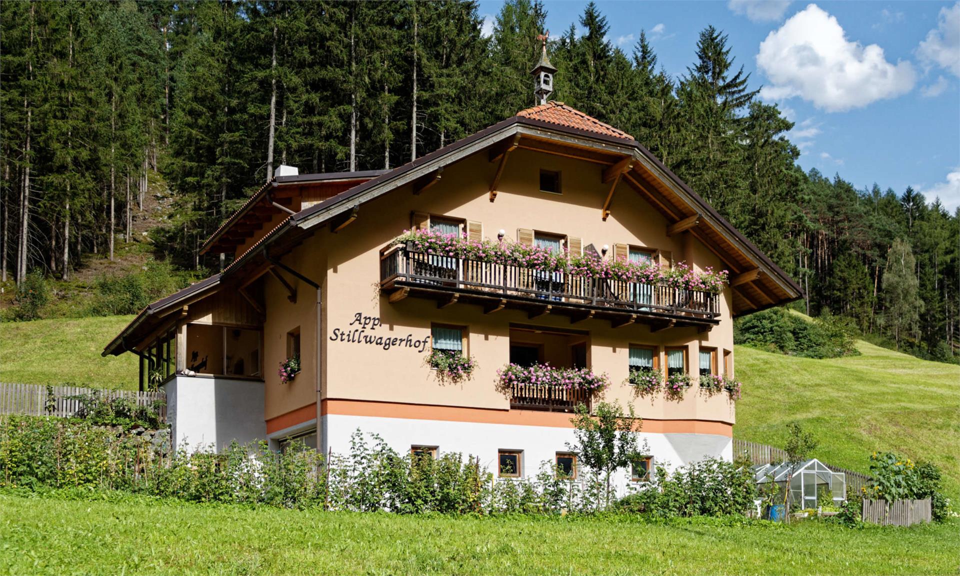 App. Stillwagerhof Campo Tures 2 suedtirol.info
