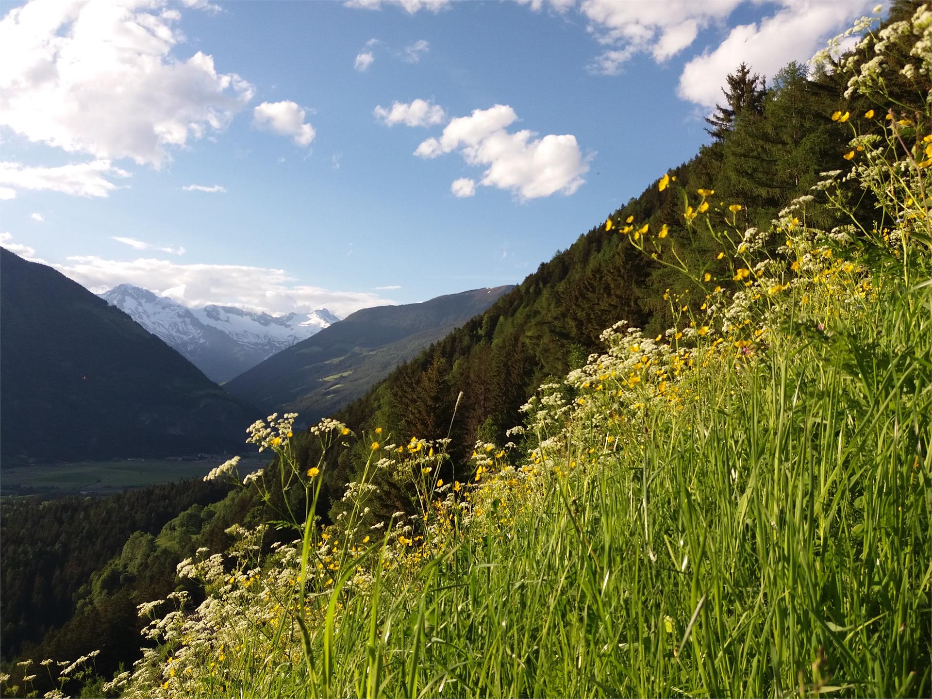 App. Ausserhaslerhof Campo Tures 5 suedtirol.info