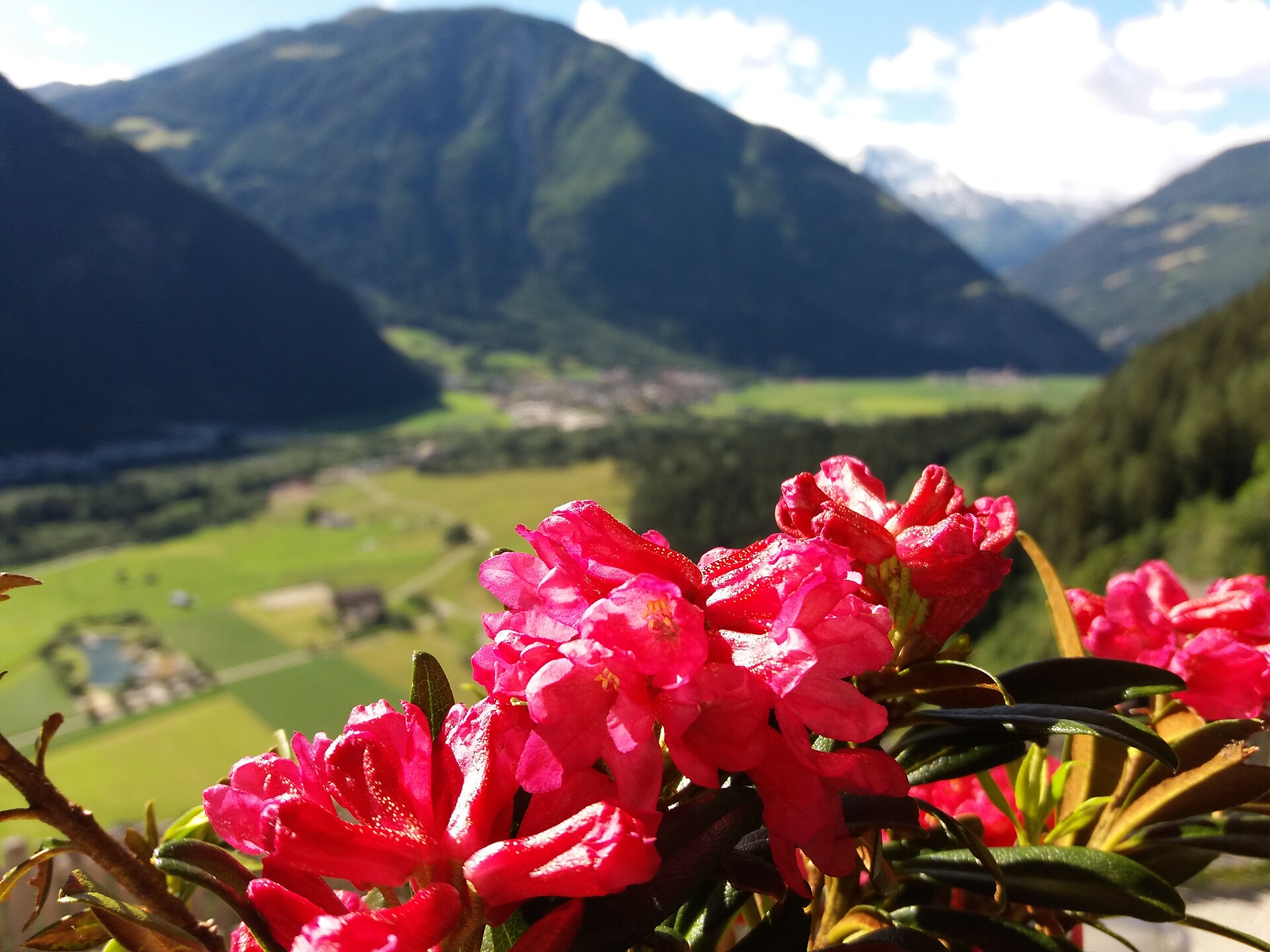 App. Ausserhaslerhof Campo Tures 6 suedtirol.info