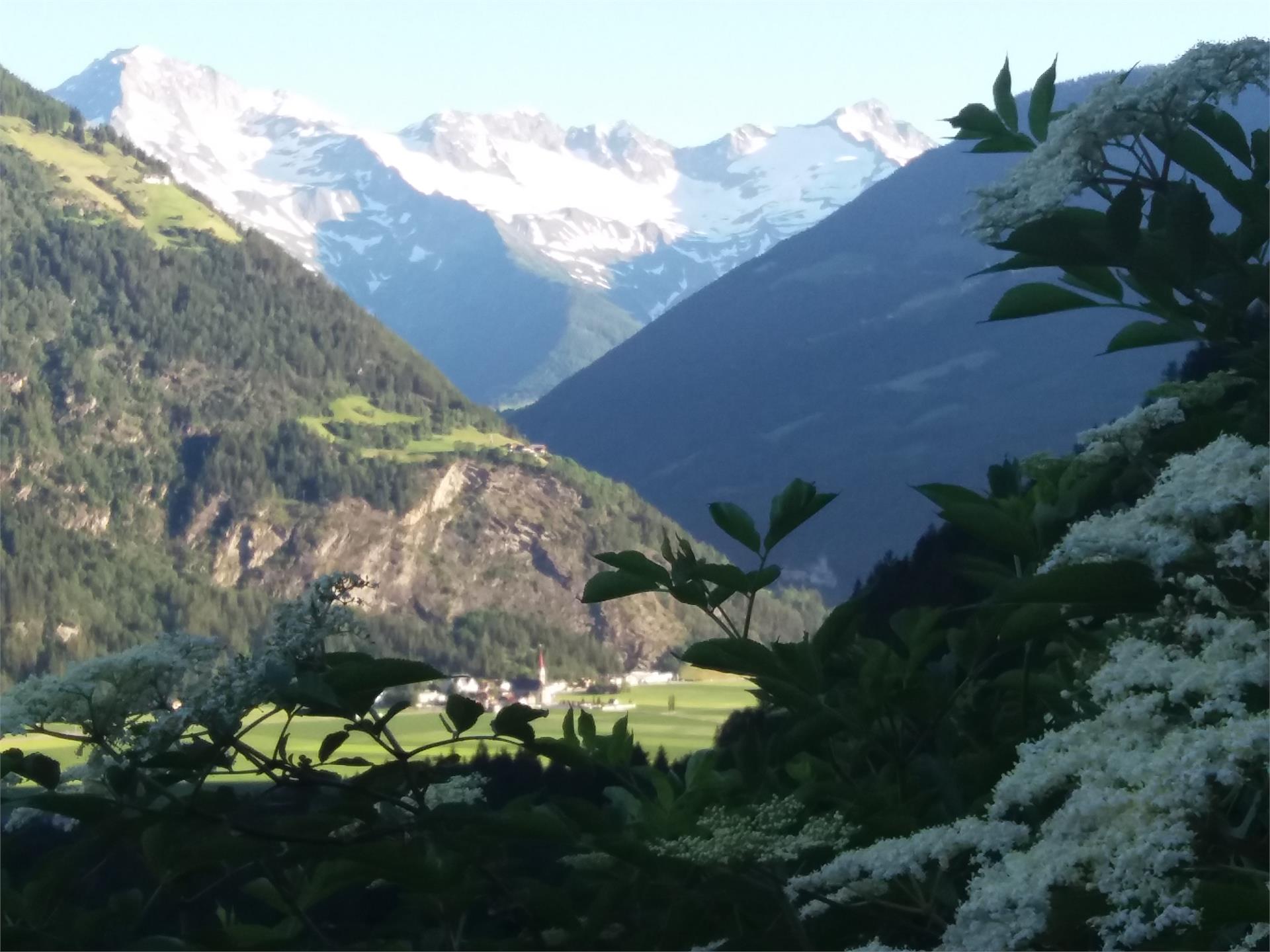 App. Ausserhaslerhof Campo Tures 15 suedtirol.info