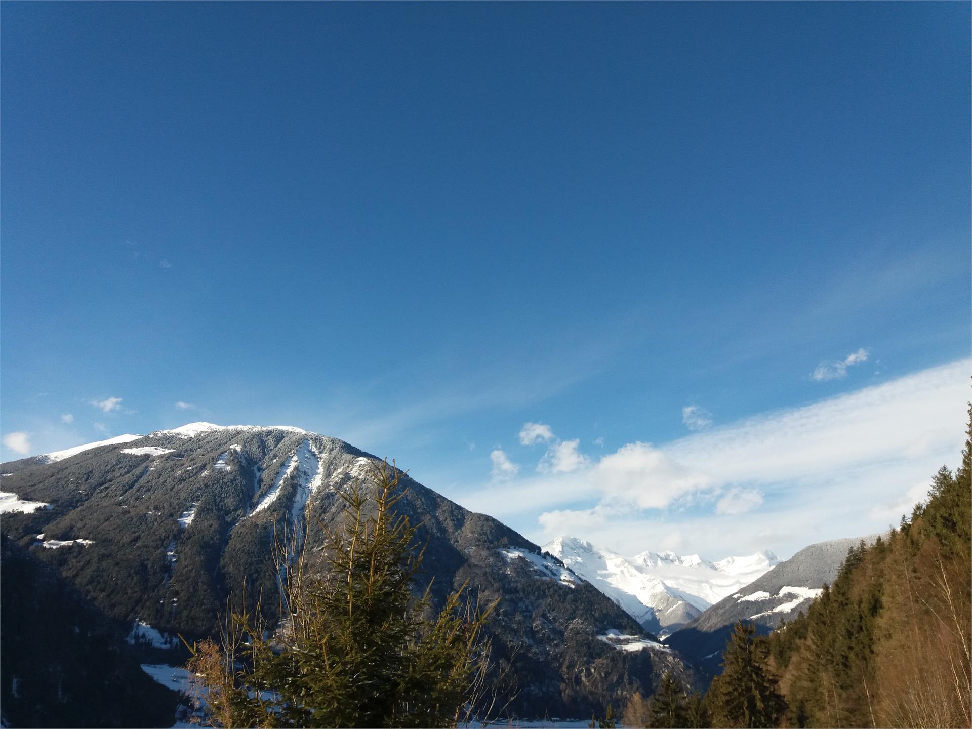 App. Ausserhaslerhof Campo Tures 11 suedtirol.info