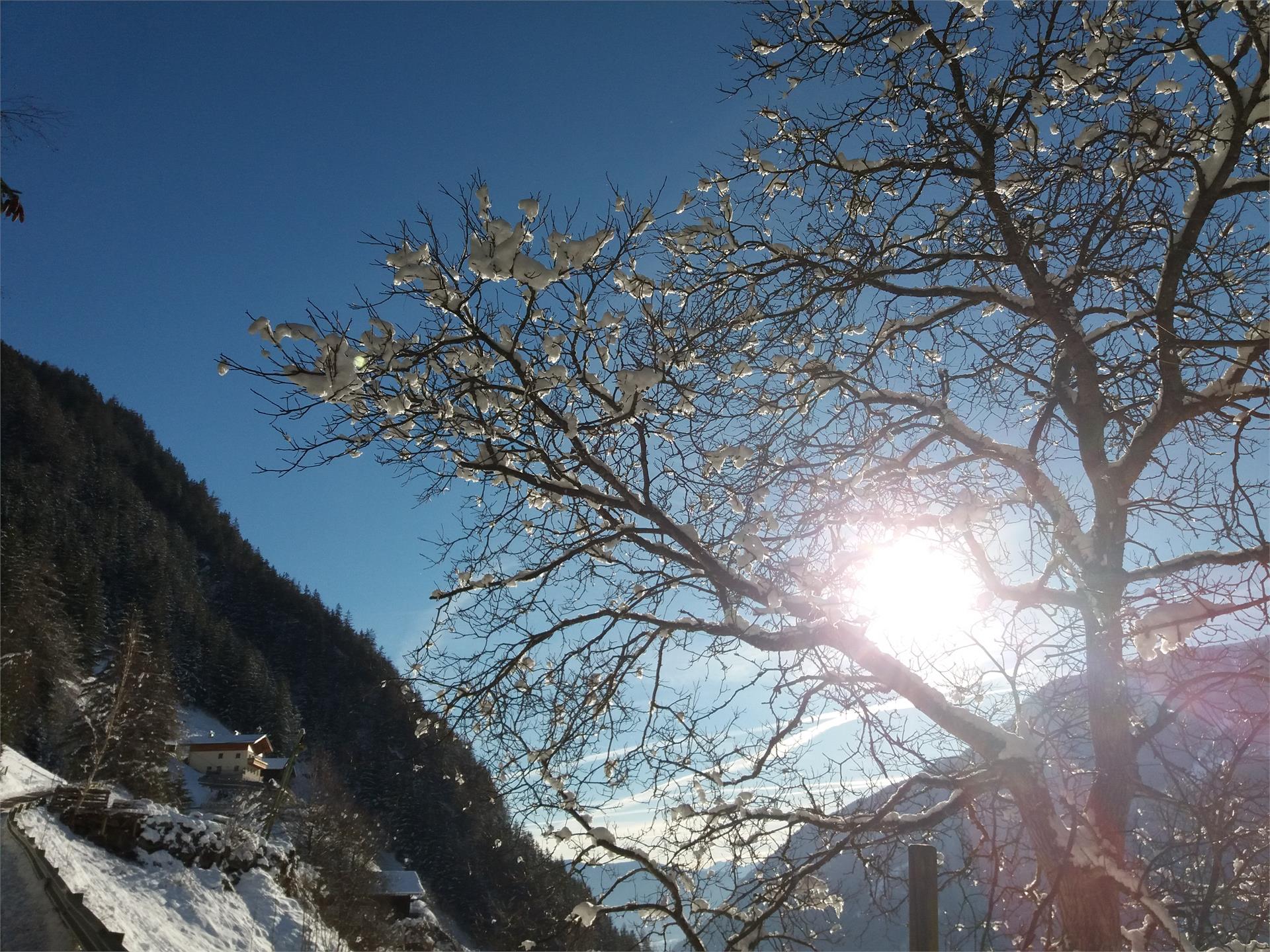 App. Ausserhaslerhof Campo Tures 8 suedtirol.info