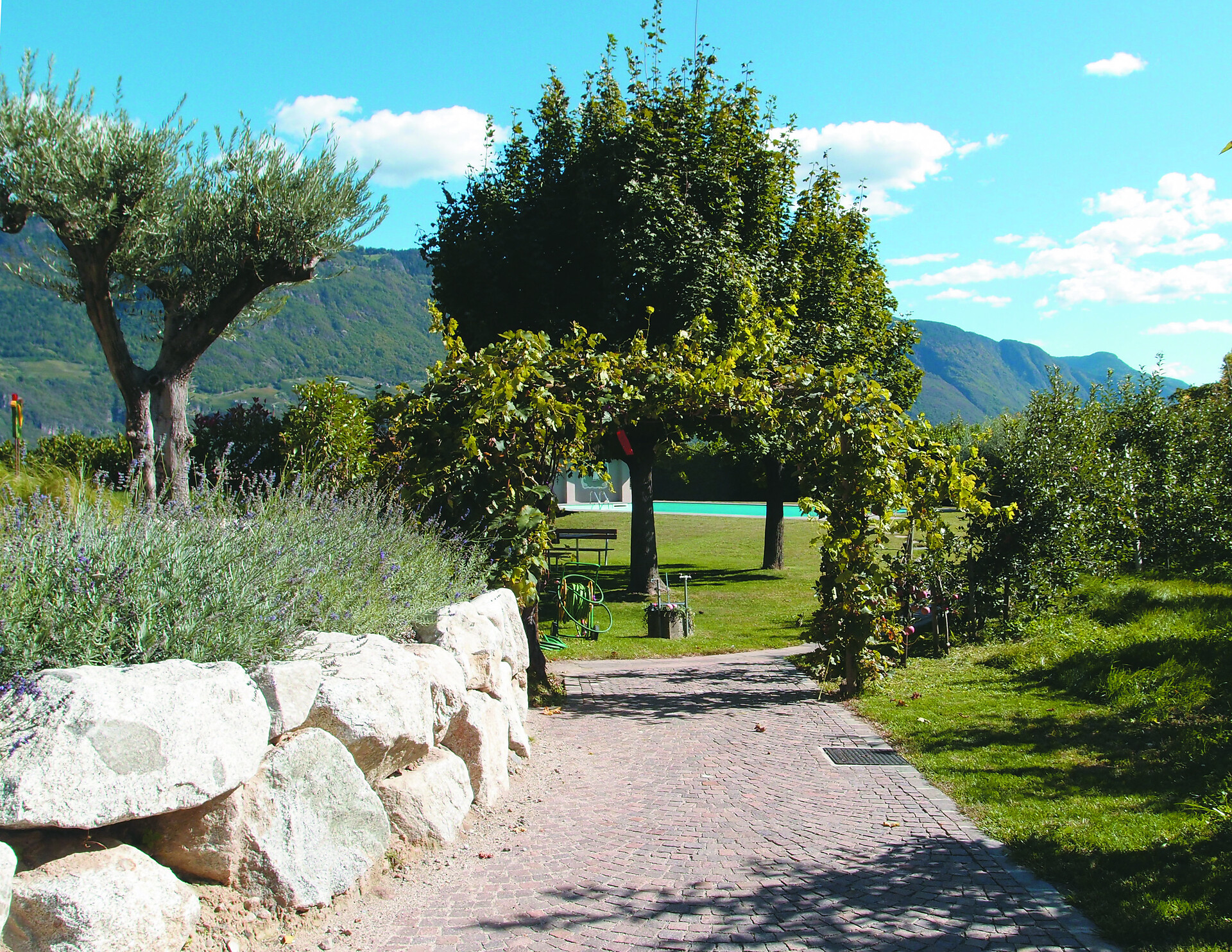 piscina