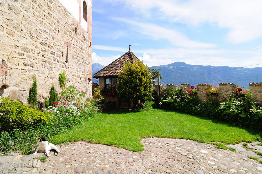 the garden