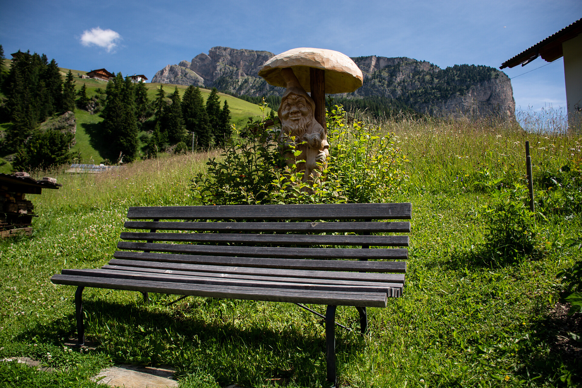 Details of the garden