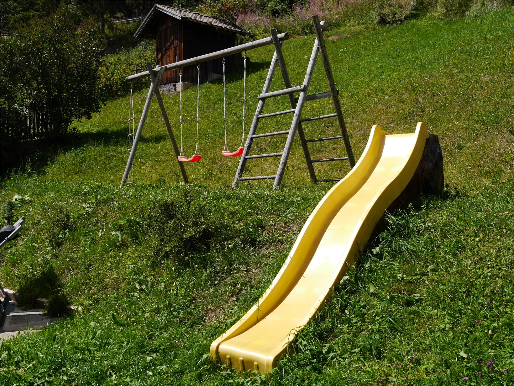 Slide 6