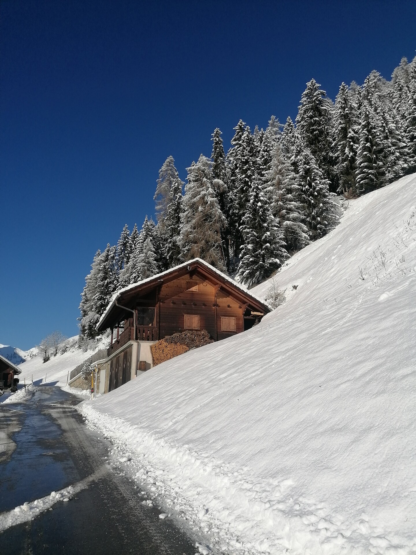 Erwins Berghütte