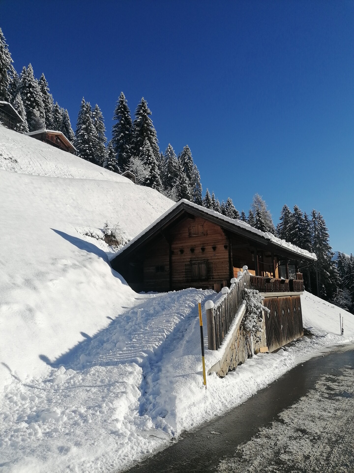 Erwins Berghütte