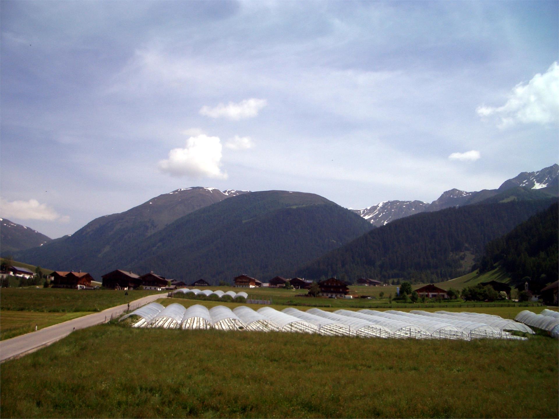 App. Haus Hintner Valle di Casies 4 suedtirol.info