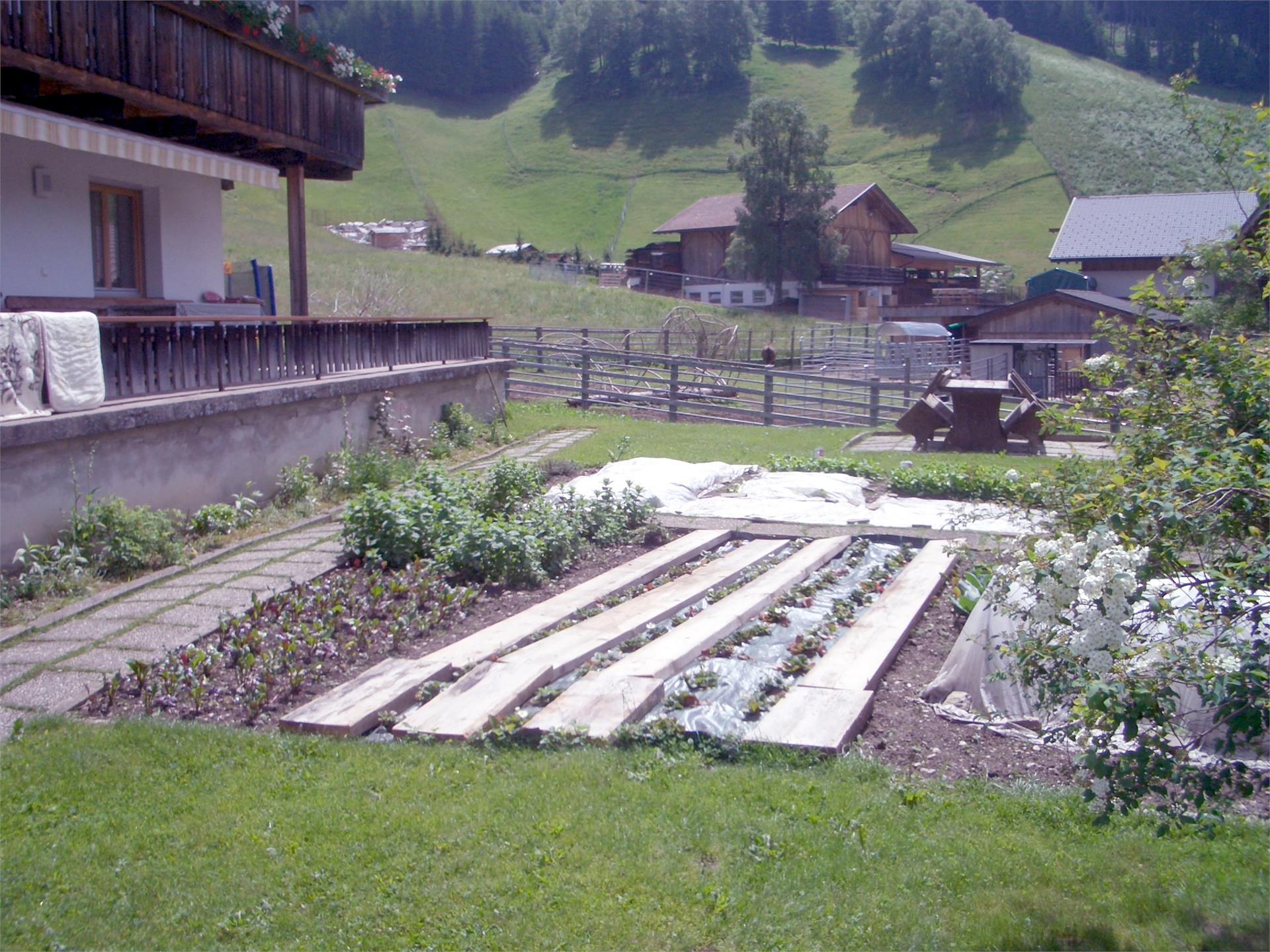 App. Haus Hintner Valle di Casies 17 suedtirol.info