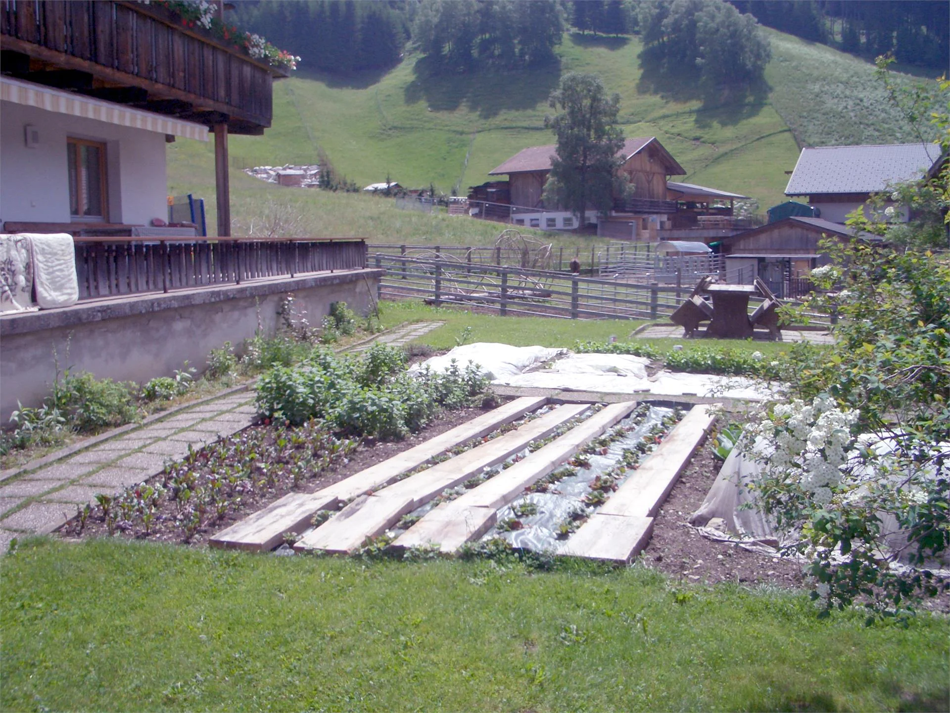 Slide 17