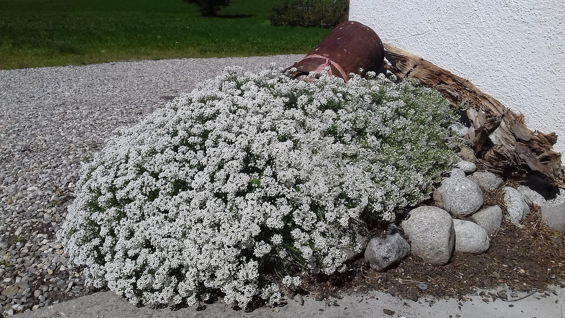 Auerhof Rein in Taufers/Riva di Tures