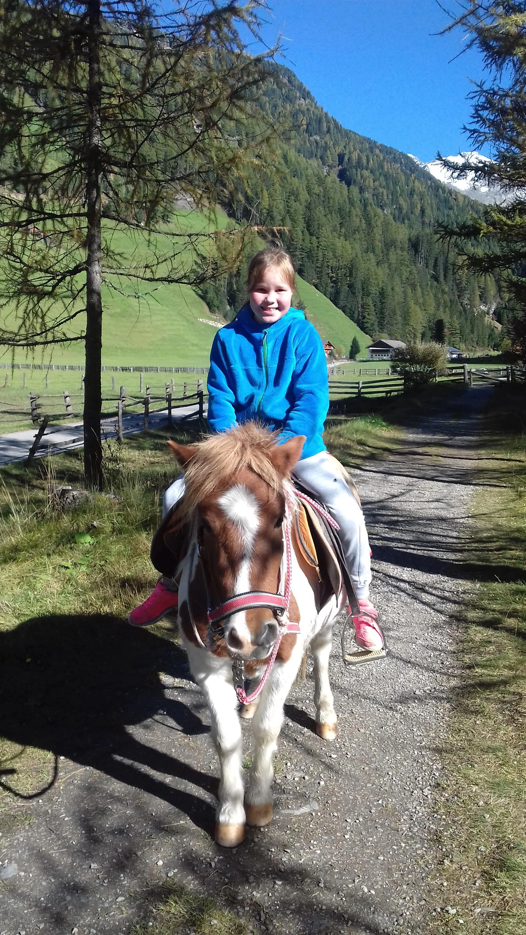 App. Auerhof Campo Tures 12 suedtirol.info