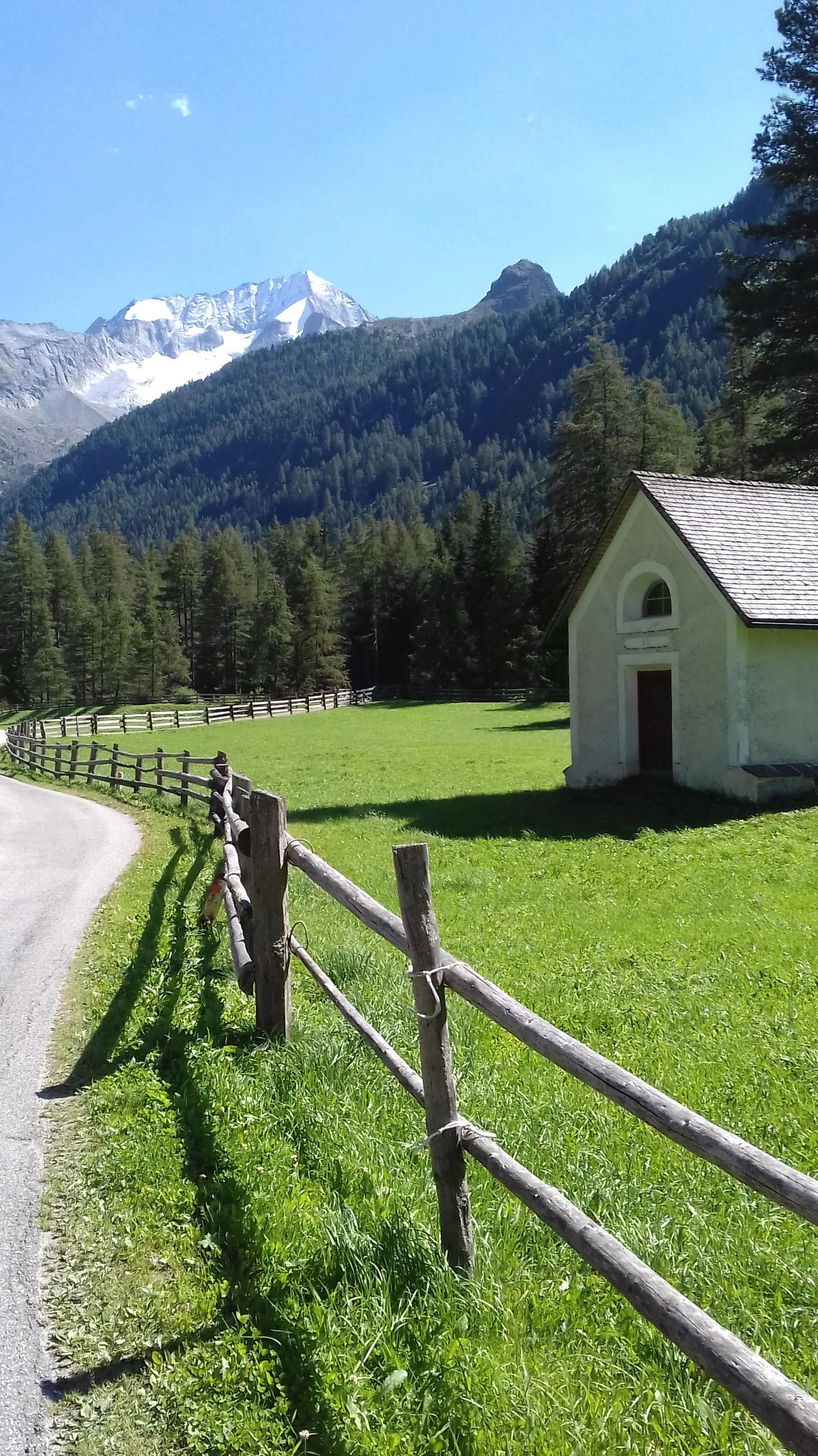 App. Auerhof Campo Tures 17 suedtirol.info