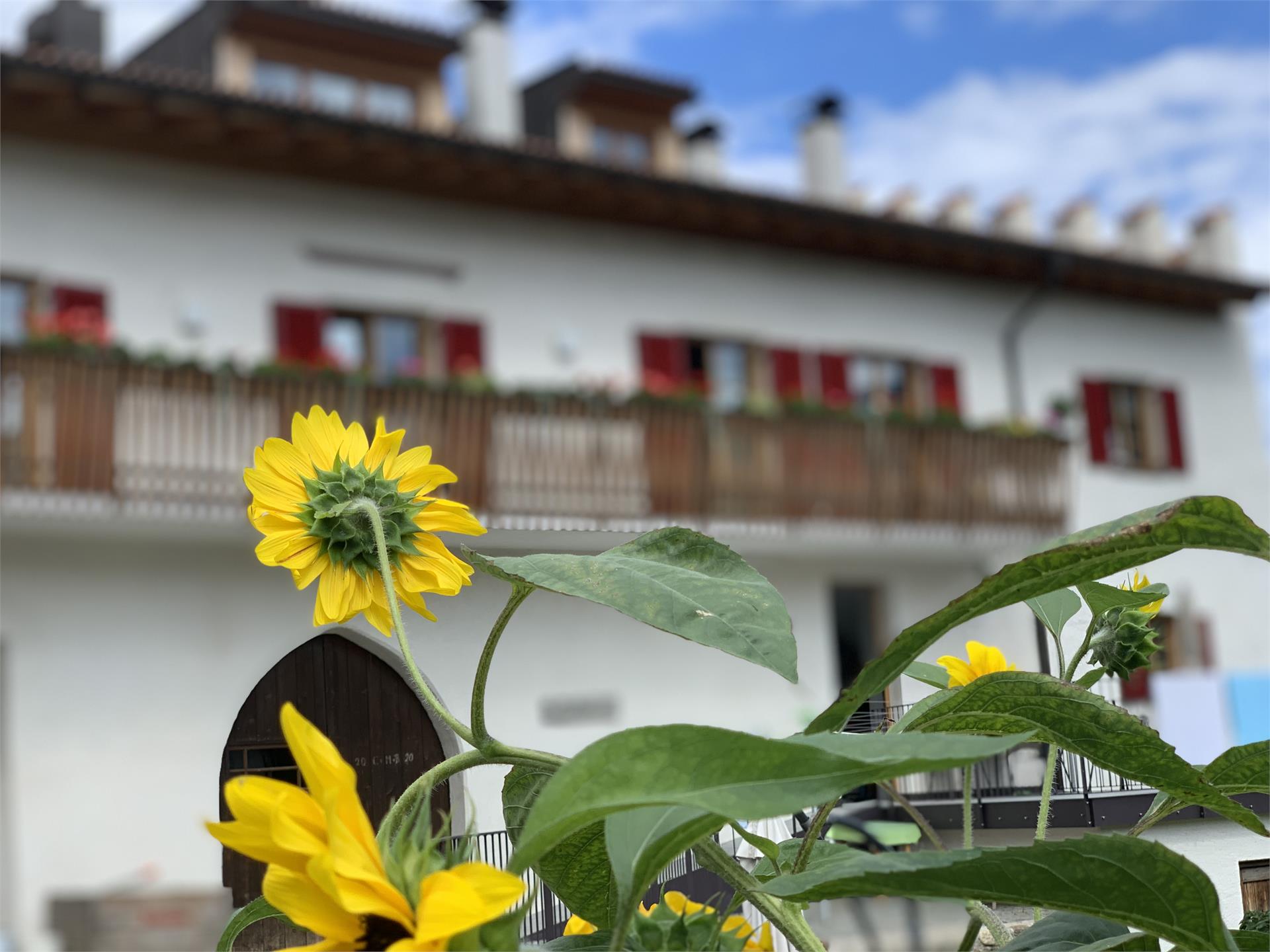Ansitz Mairhof Deluxe Living Partschins/Parcines 24 suedtirol.info