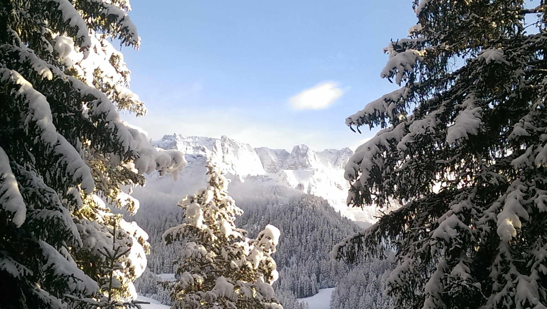 Winter