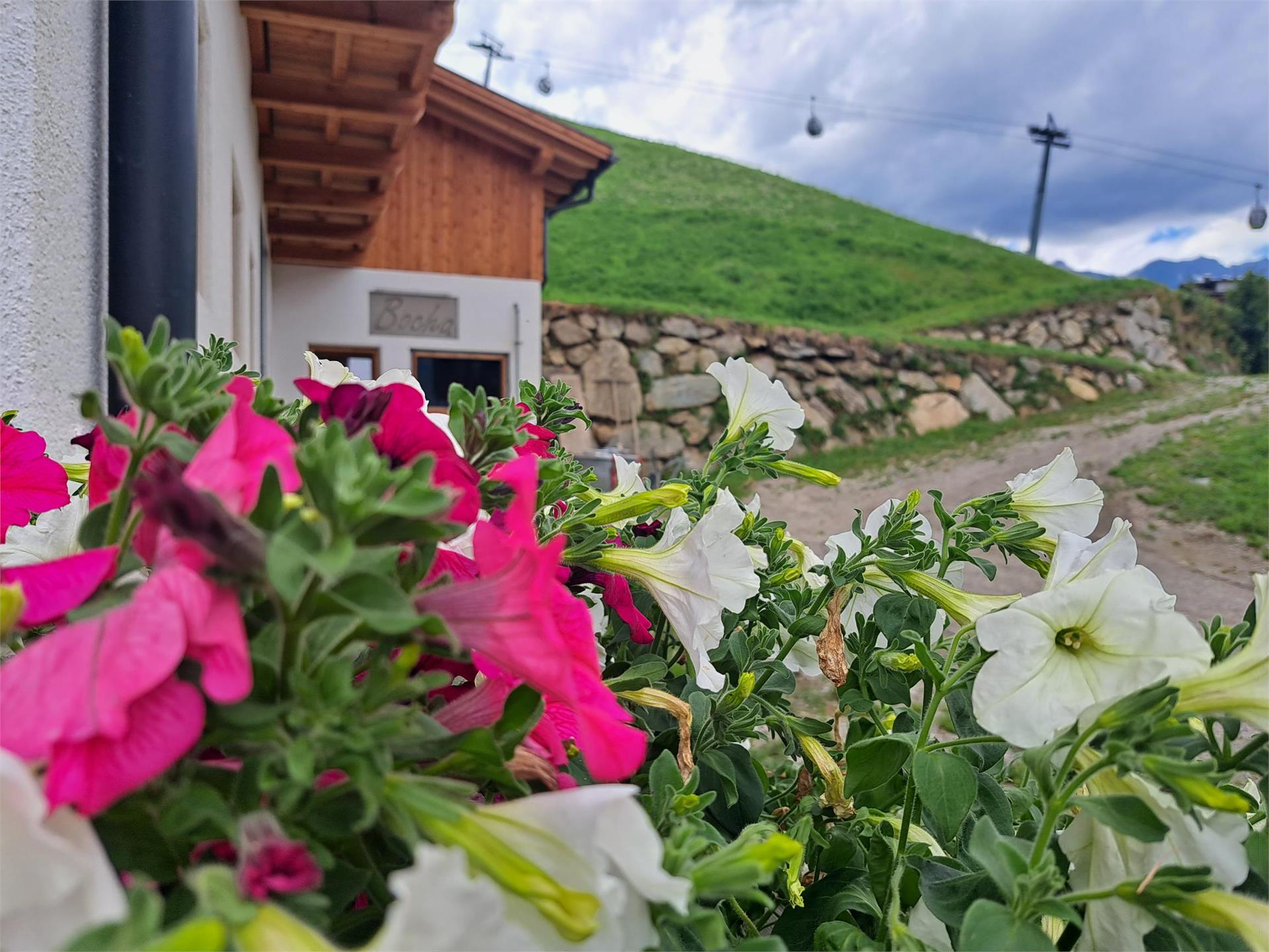 App. Bacherhof Sand in Taufers/Campo Tures 5 suedtirol.info