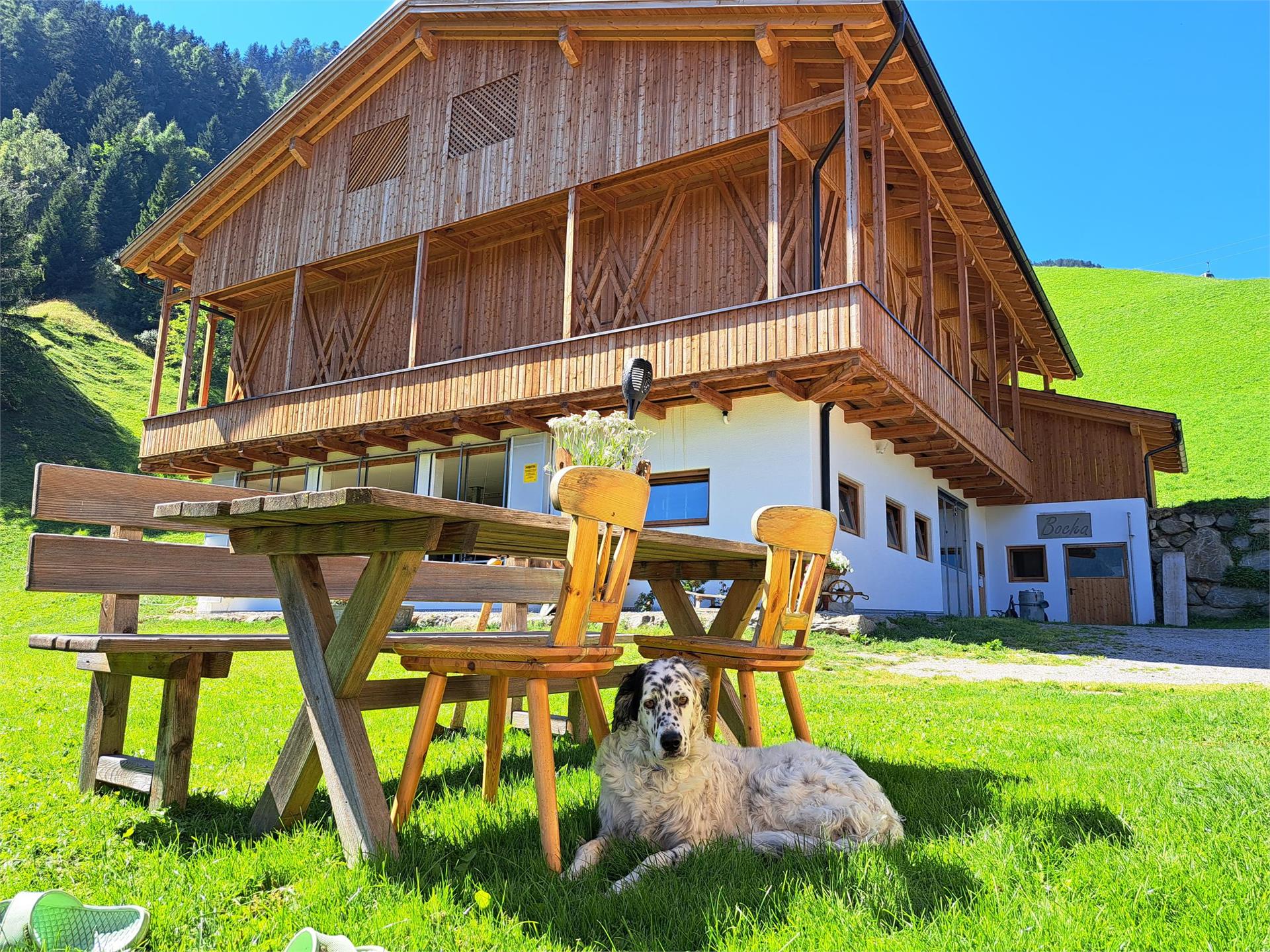 App. Bacherhof Sand in Taufers/Campo Tures 6 suedtirol.info