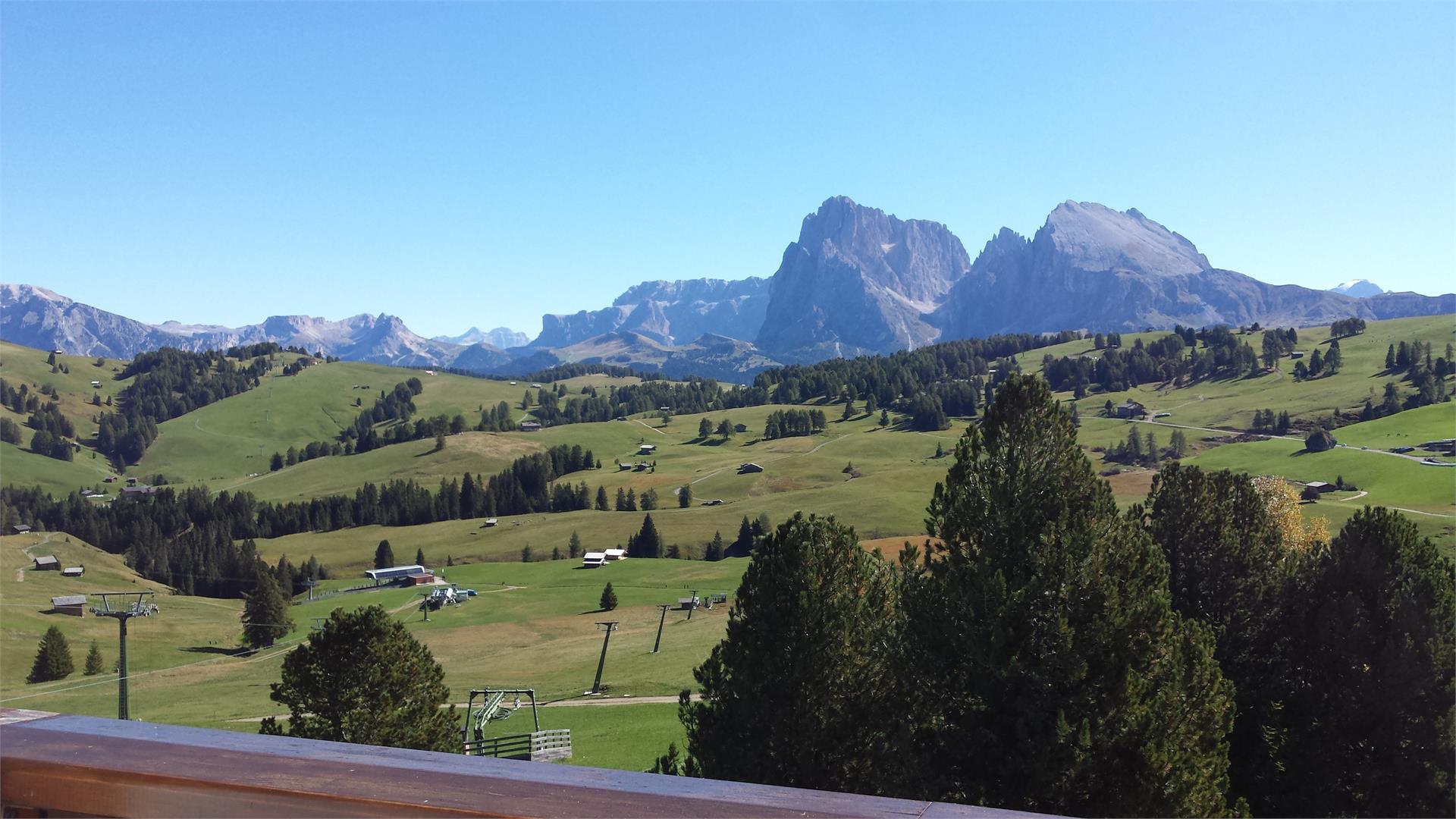 Appartement Christine Kastelruth 10 suedtirol.info