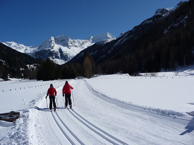Cross country skiing