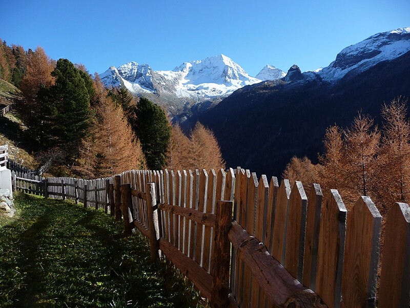 autumn in Rein