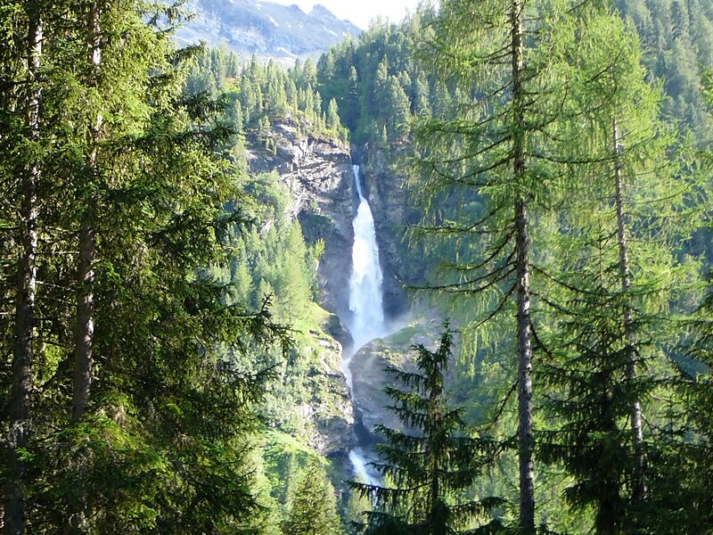 cascade from Rein