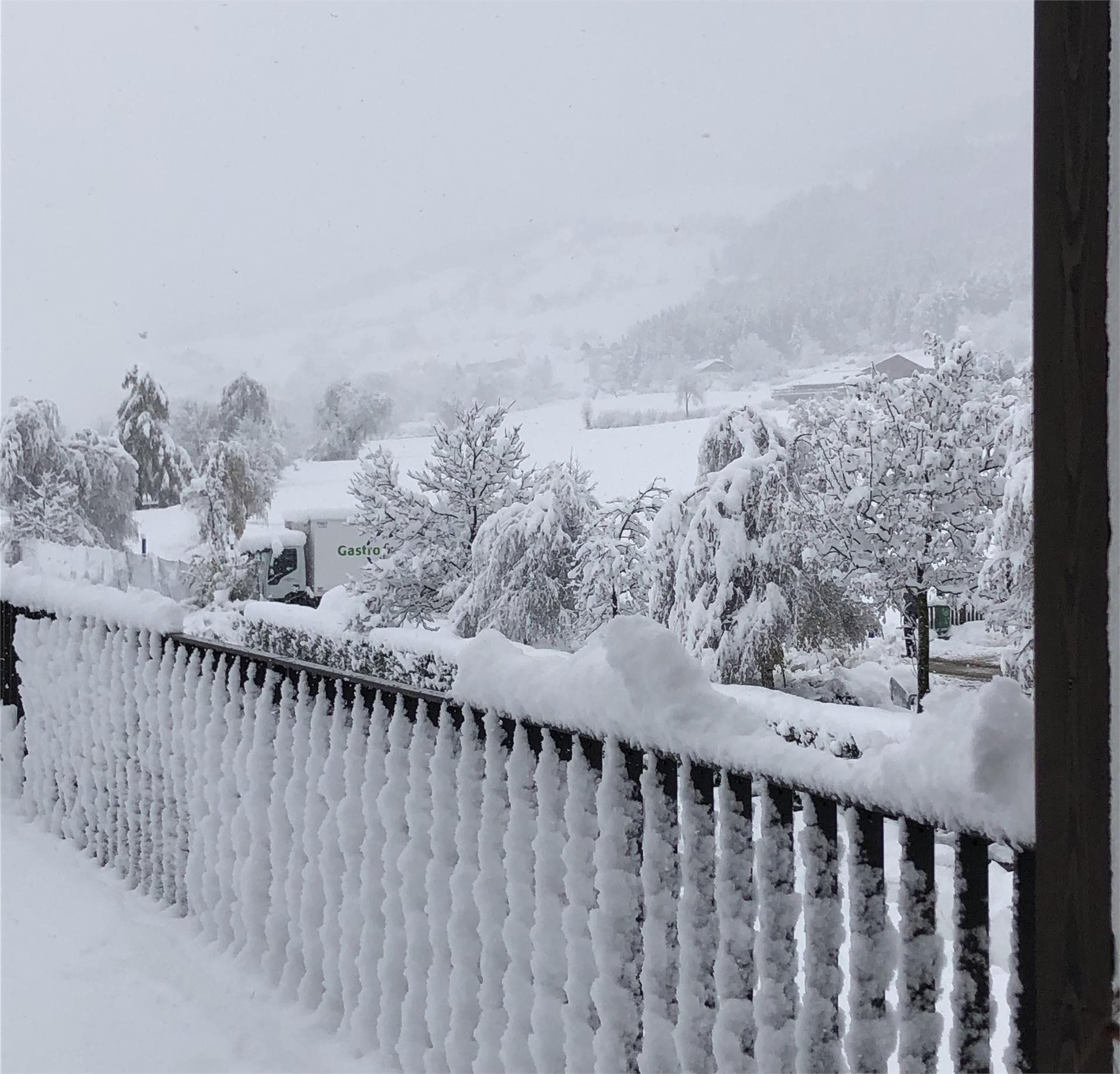 Ariala Apartments Falzes 24 suedtirol.info