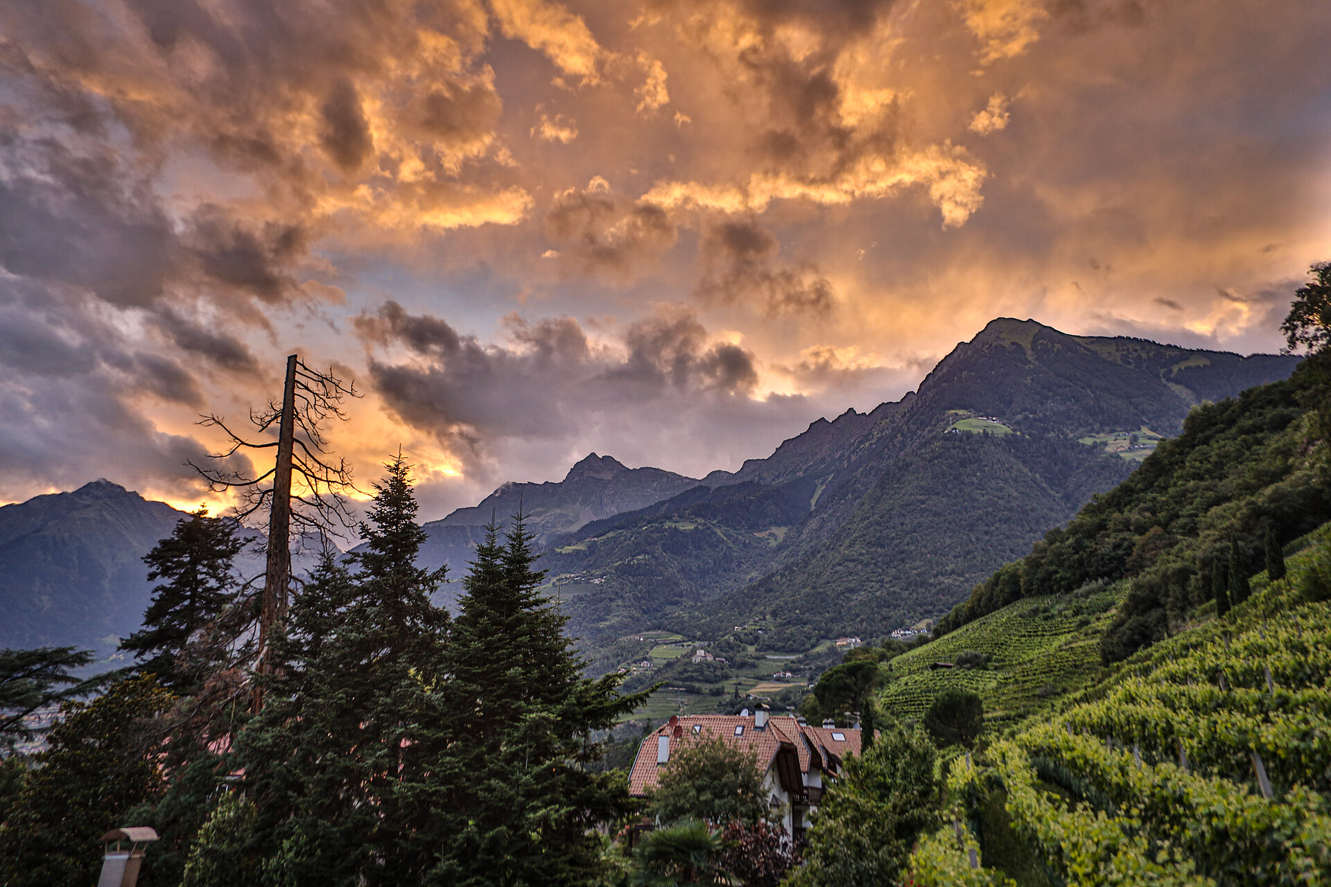 panoramic view Appartment Meran
