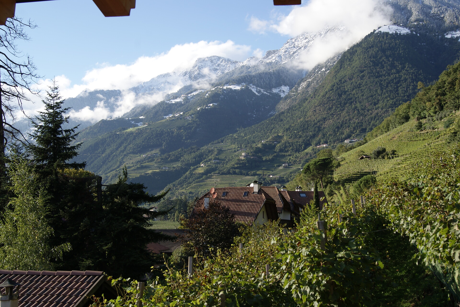 panoramic view