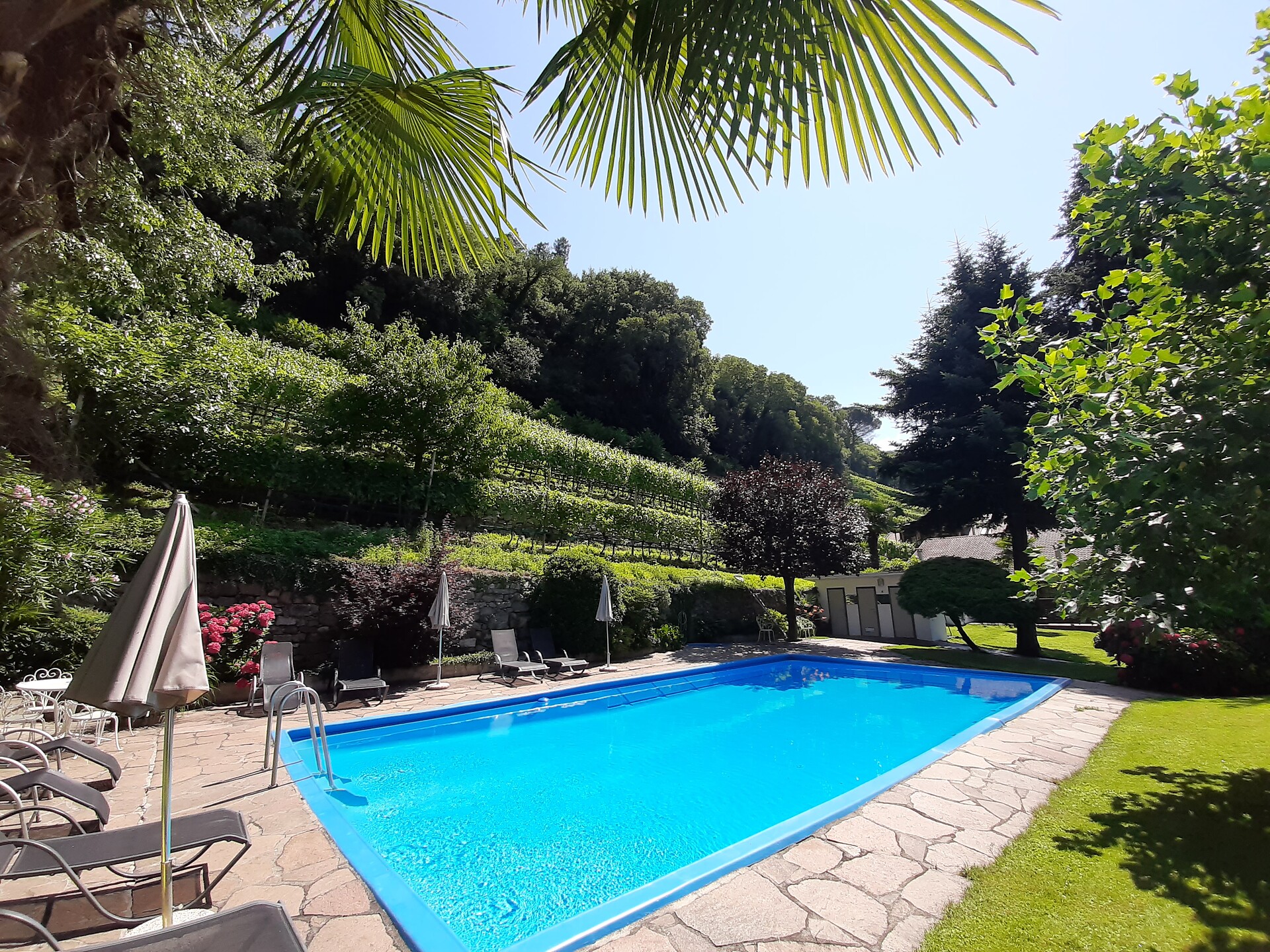 swimmingpool