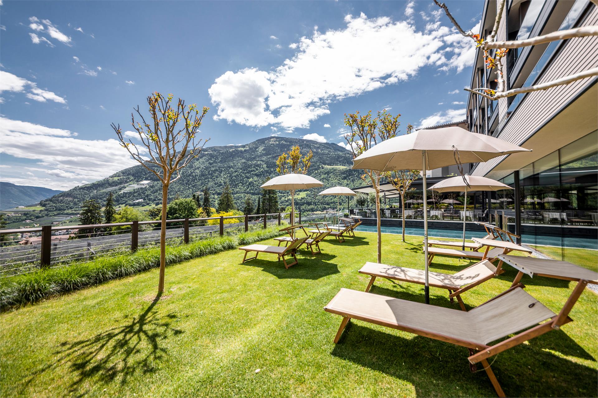 Avidea Hotel Algund 4 suedtirol.info