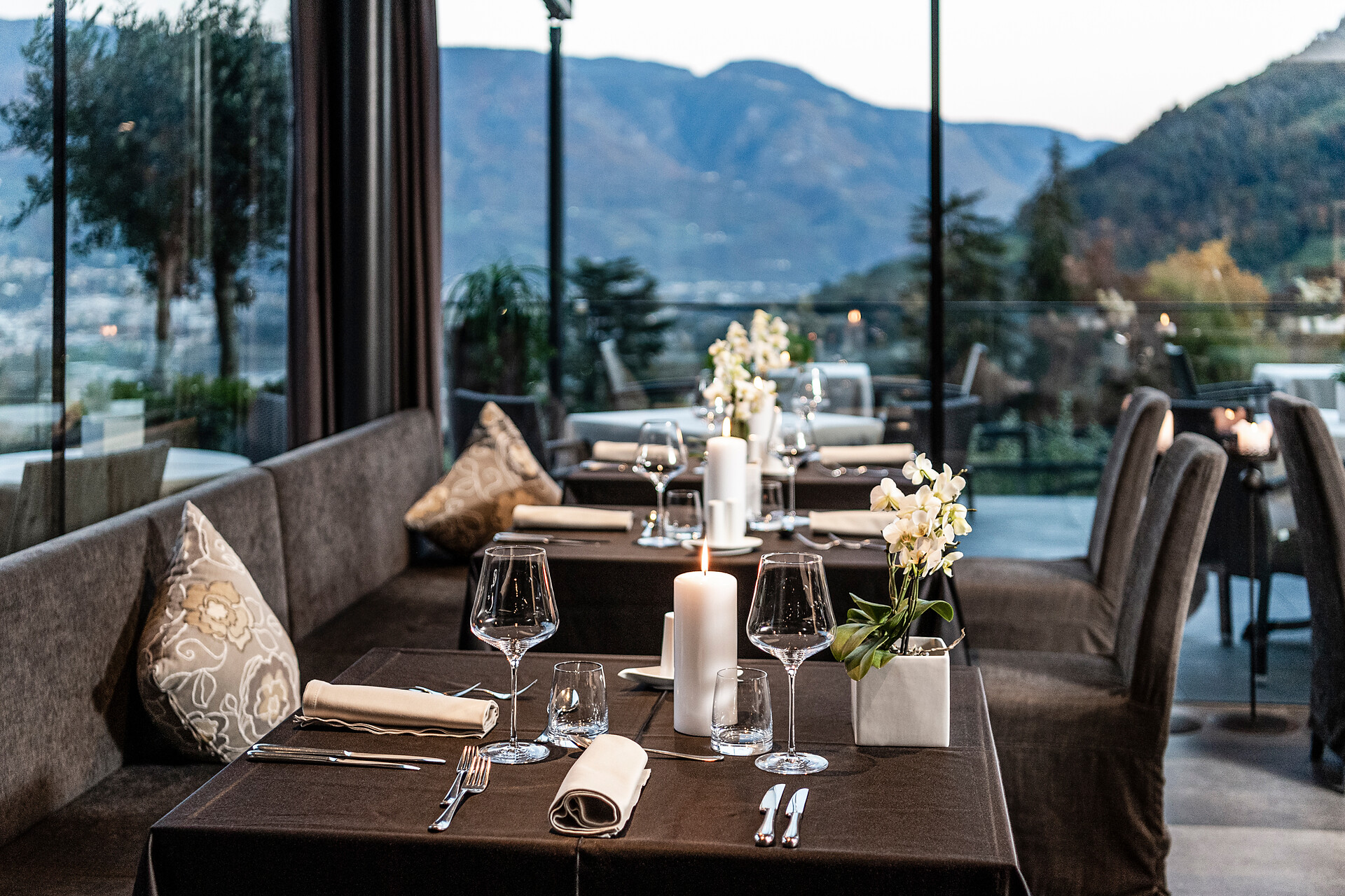 Hotel Avidea