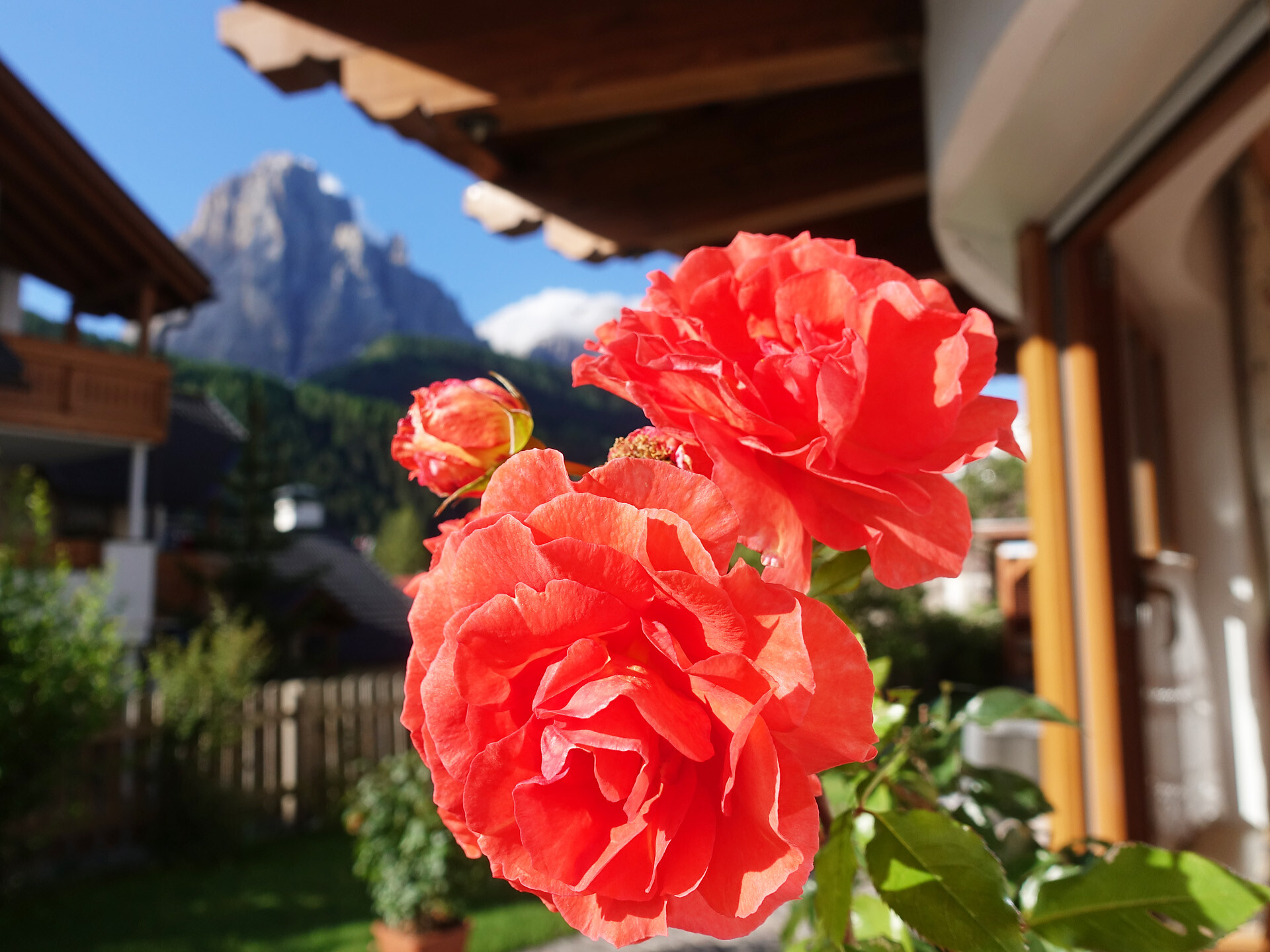 Sommer in Gröden