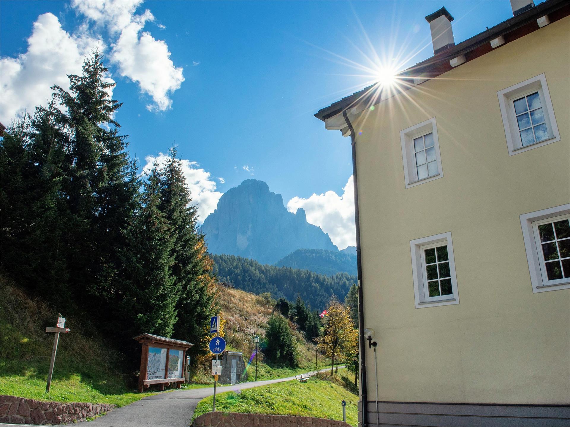 Apartments Alpen Domus Selva 1 suedtirol.info