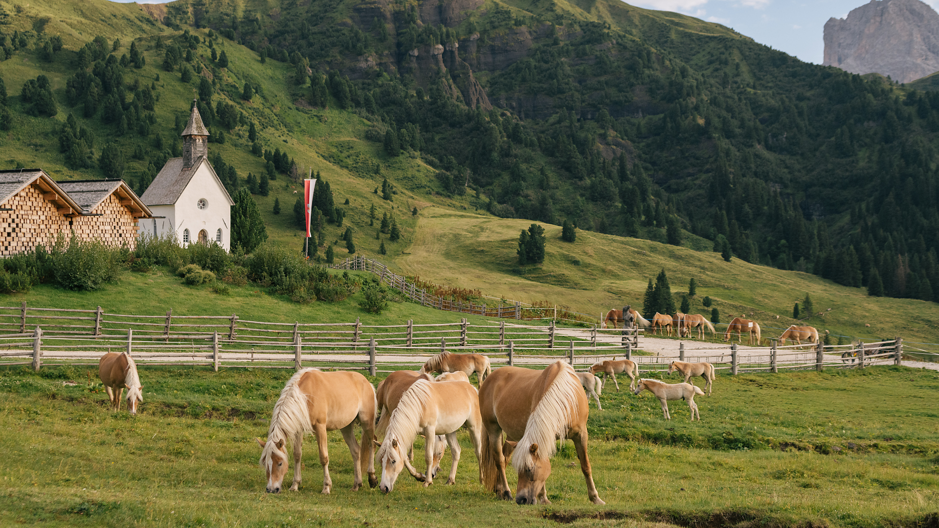 Zallinger Dolomites