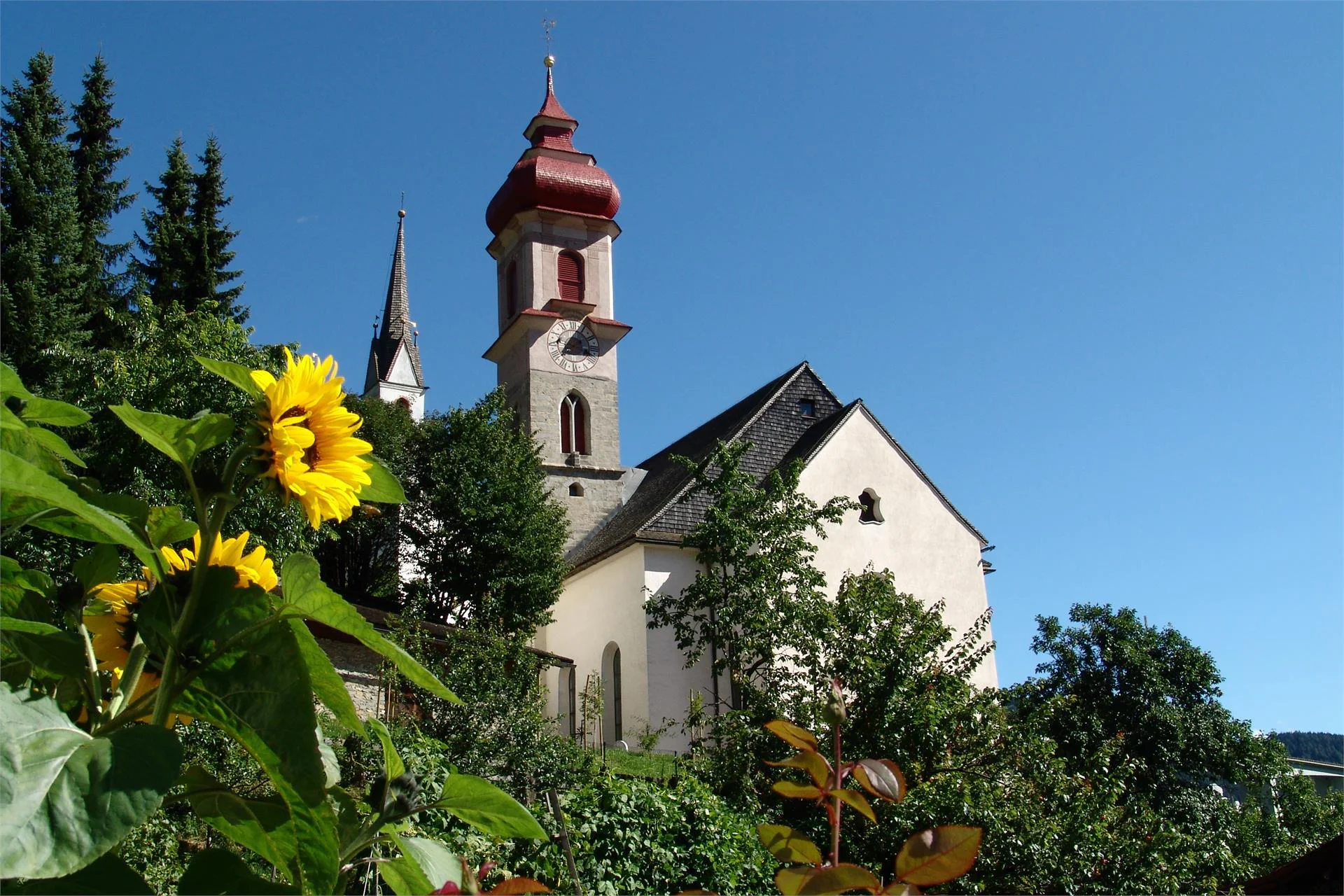 Aparthotel Pichler Brennero 28 suedtirol.info