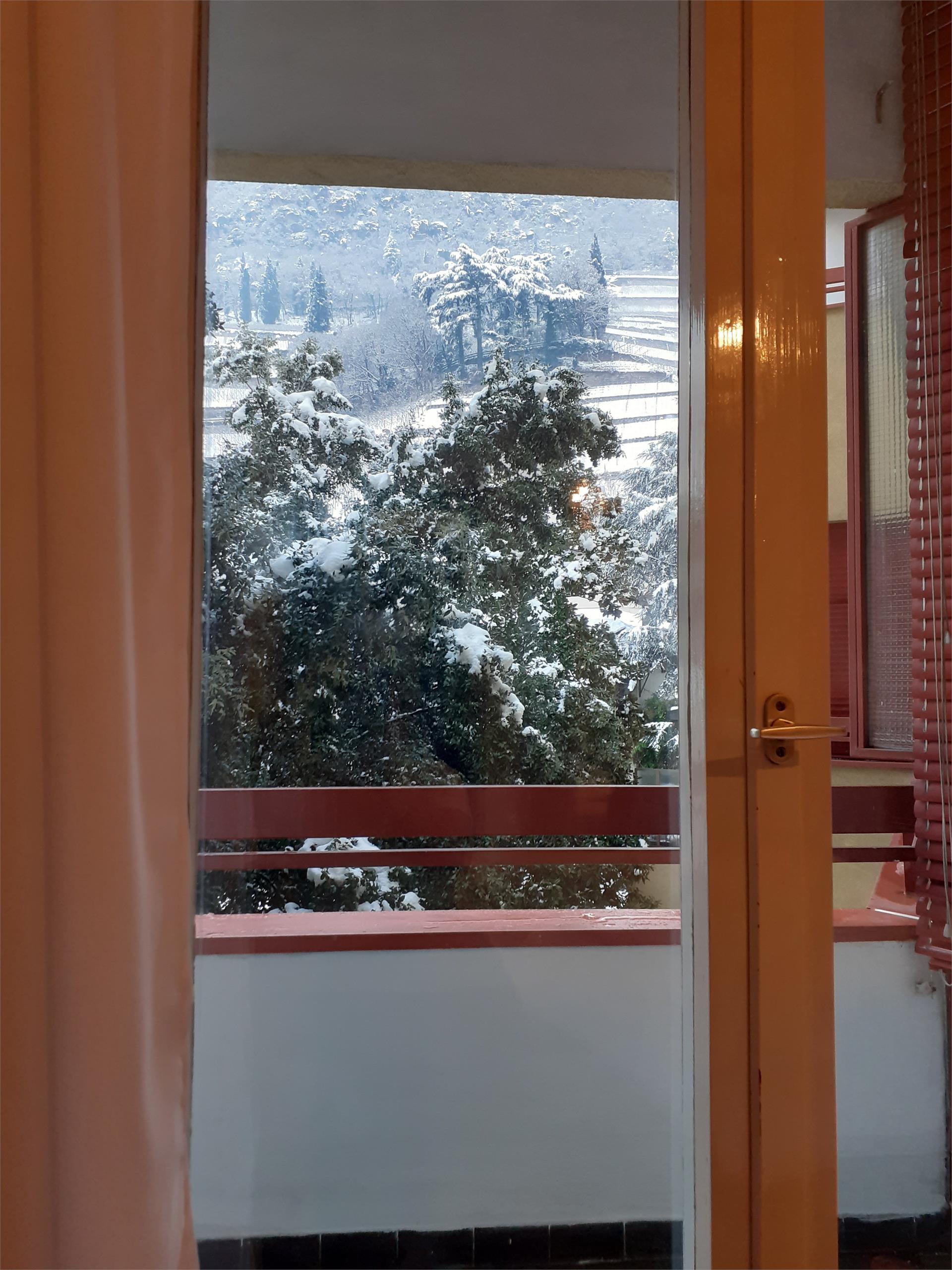 APPARTAMENTO OSPITALE Bozen 28 suedtirol.info