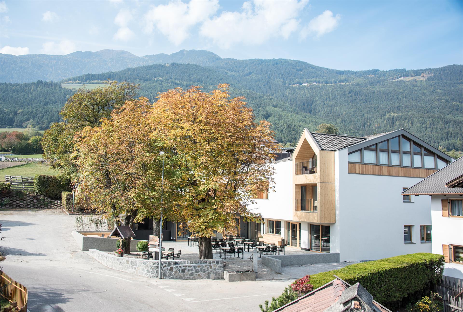 Alpenrose's Dining & Living Brixen/Bressanone 5 suedtirol.info
