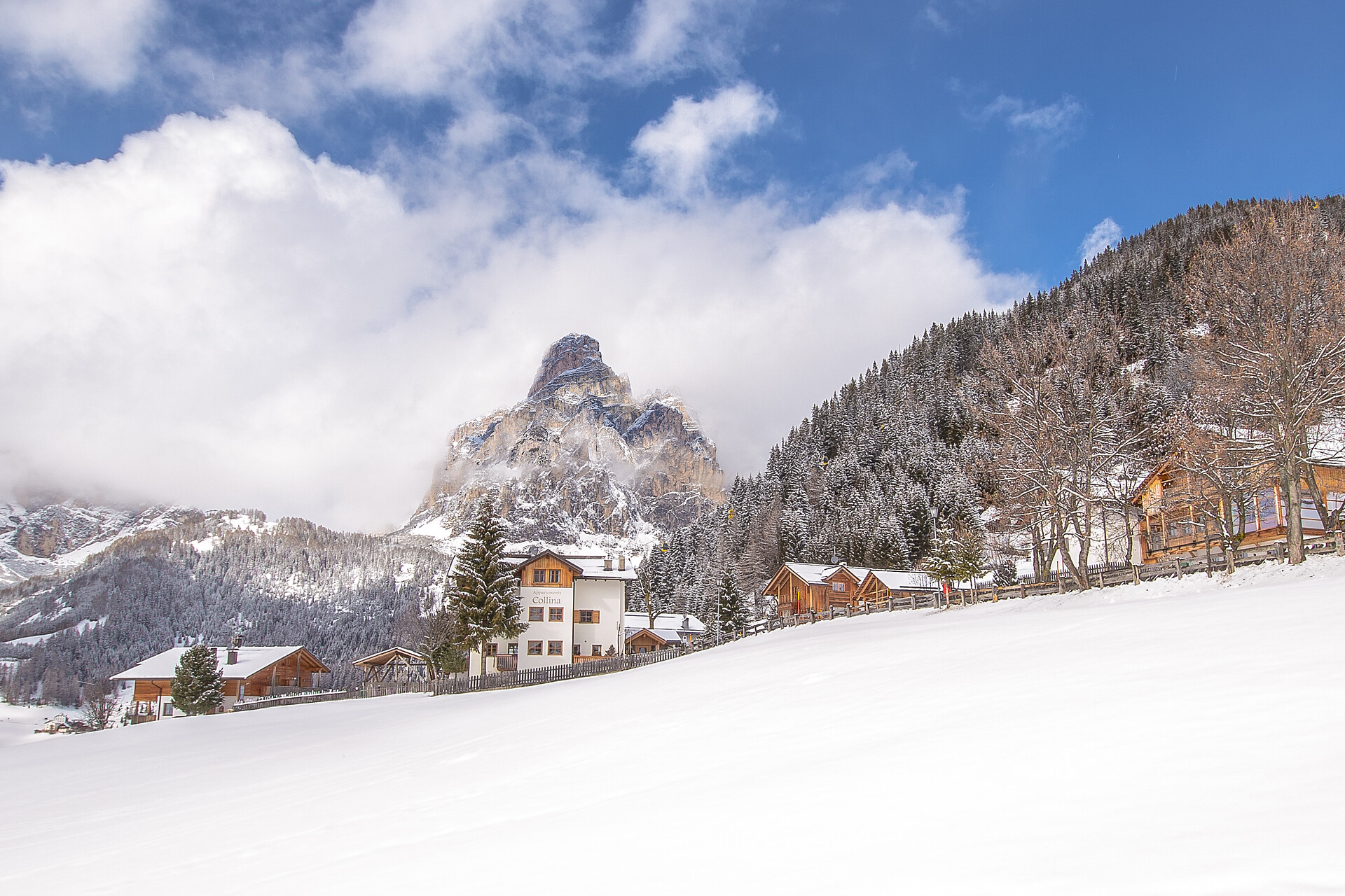 App. Ciasa Collina