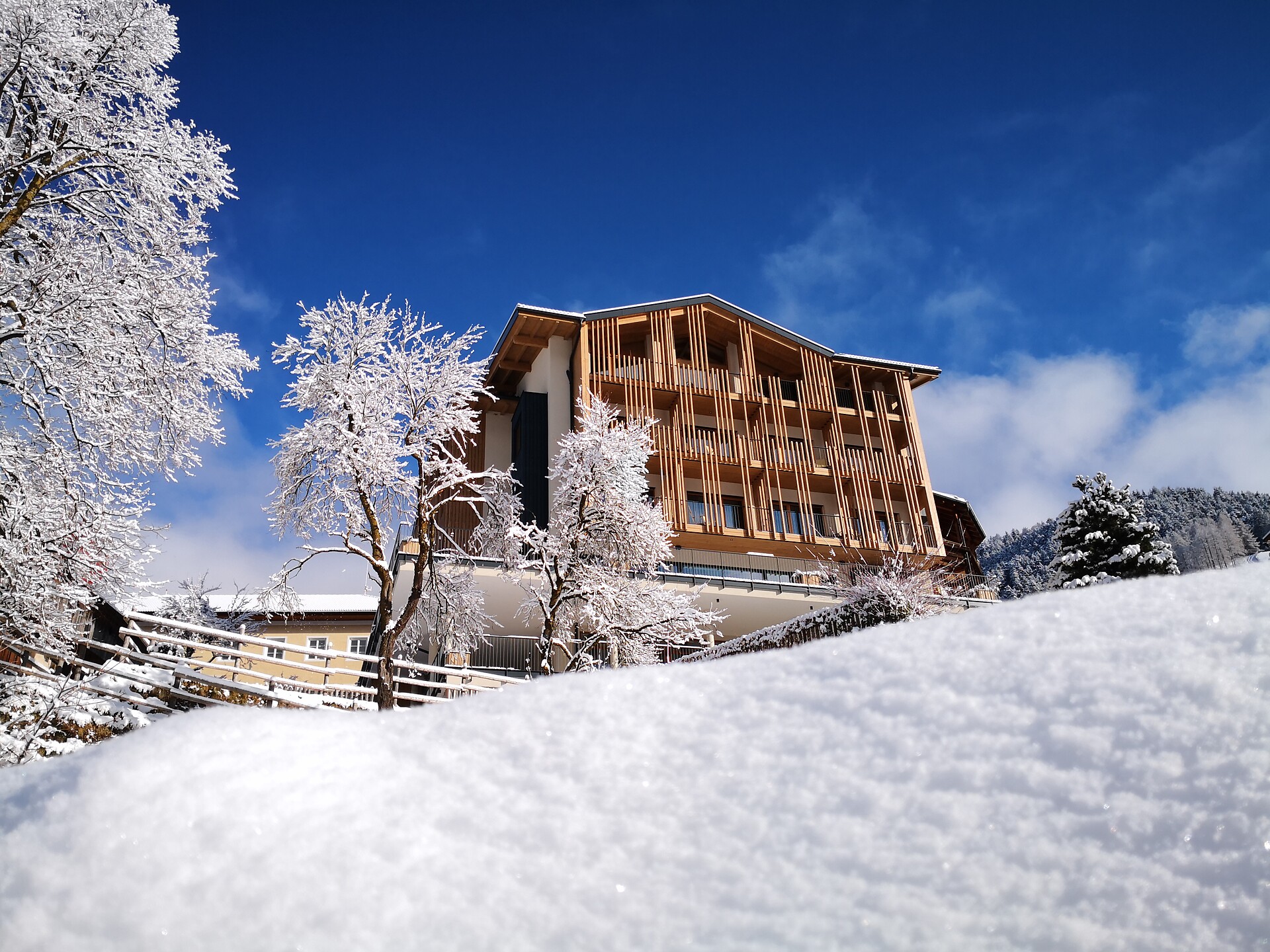 Alpinhotel Vajolet Winter