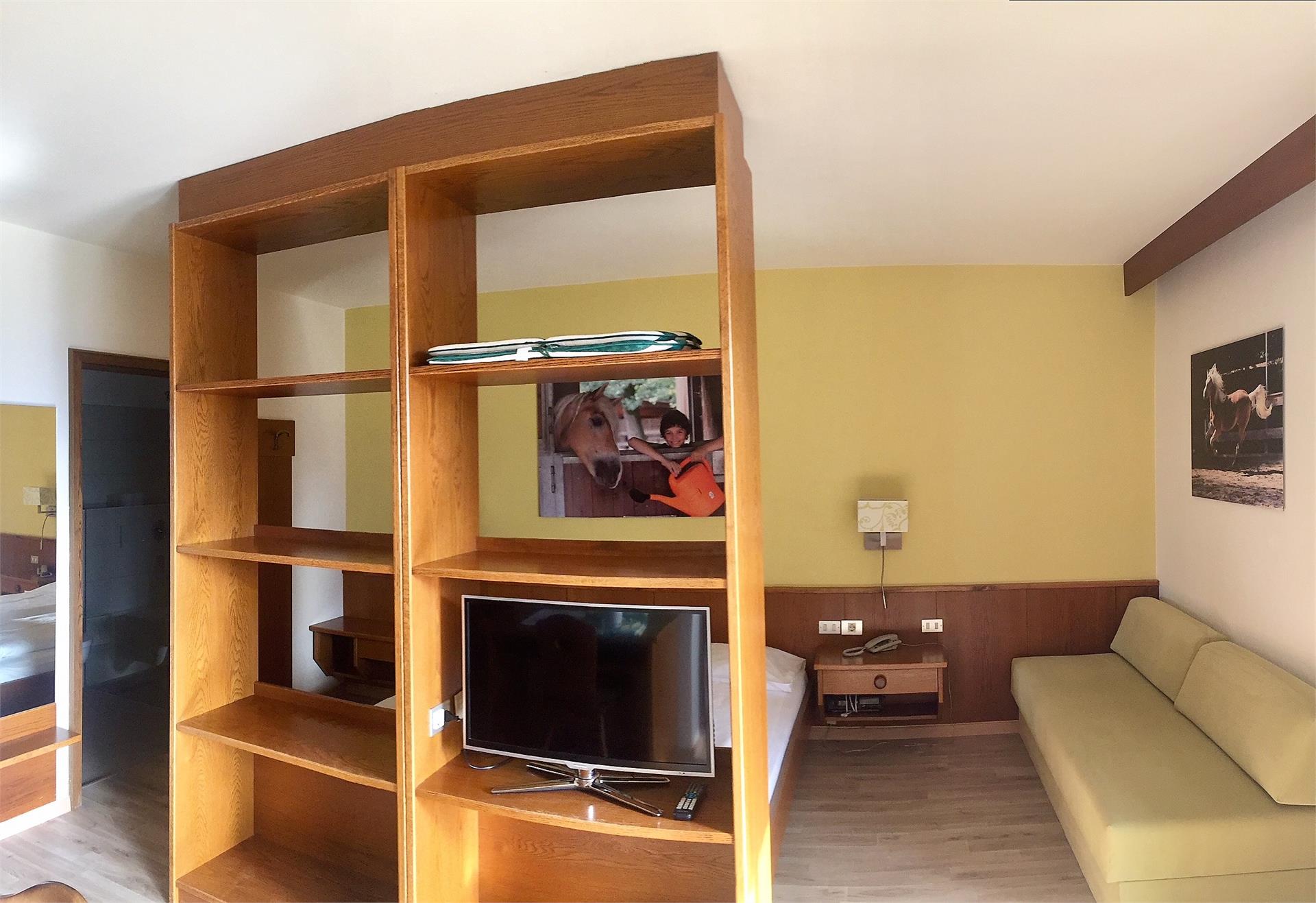 Apartamento Andreas Hofer Scena 9 suedtirol.info