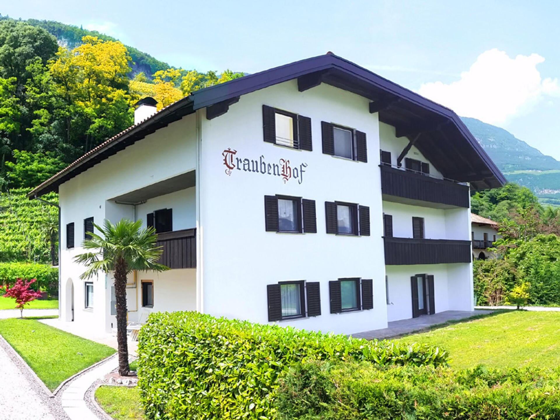 Traubenhof Apartments Magrè - Alto Adige Wine Road - #1 - suedtirol.info