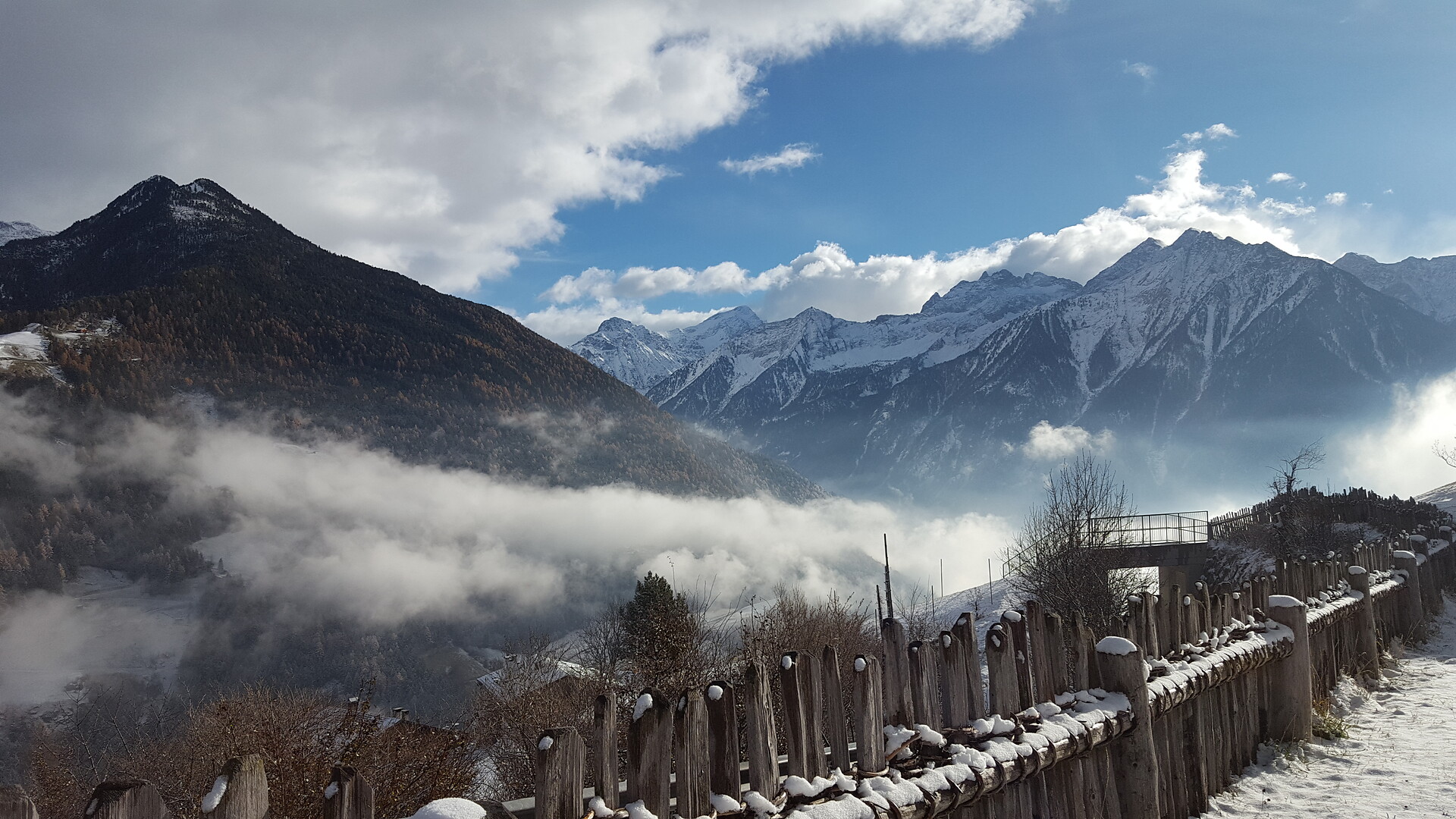 Panorama