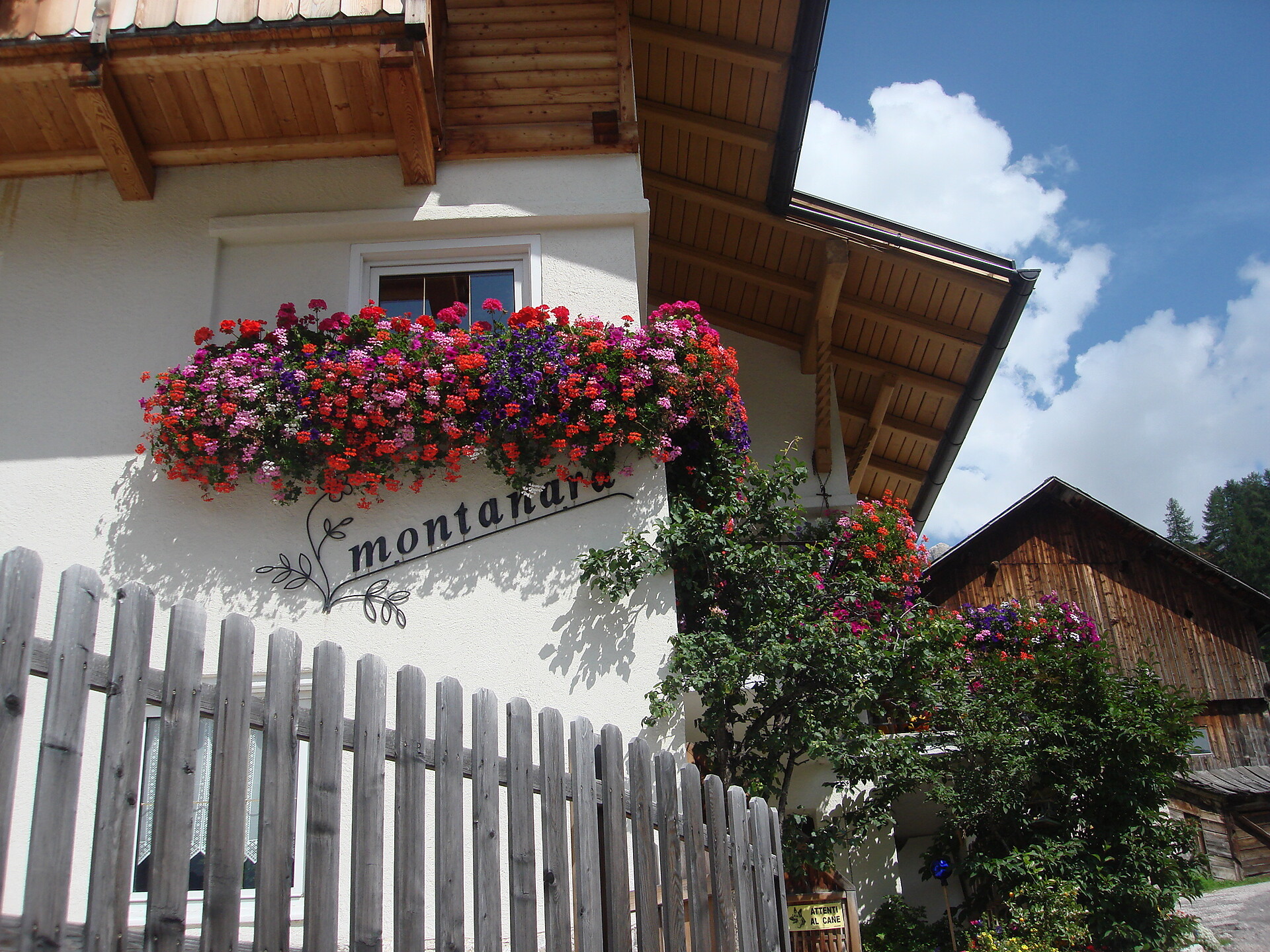 Montanara