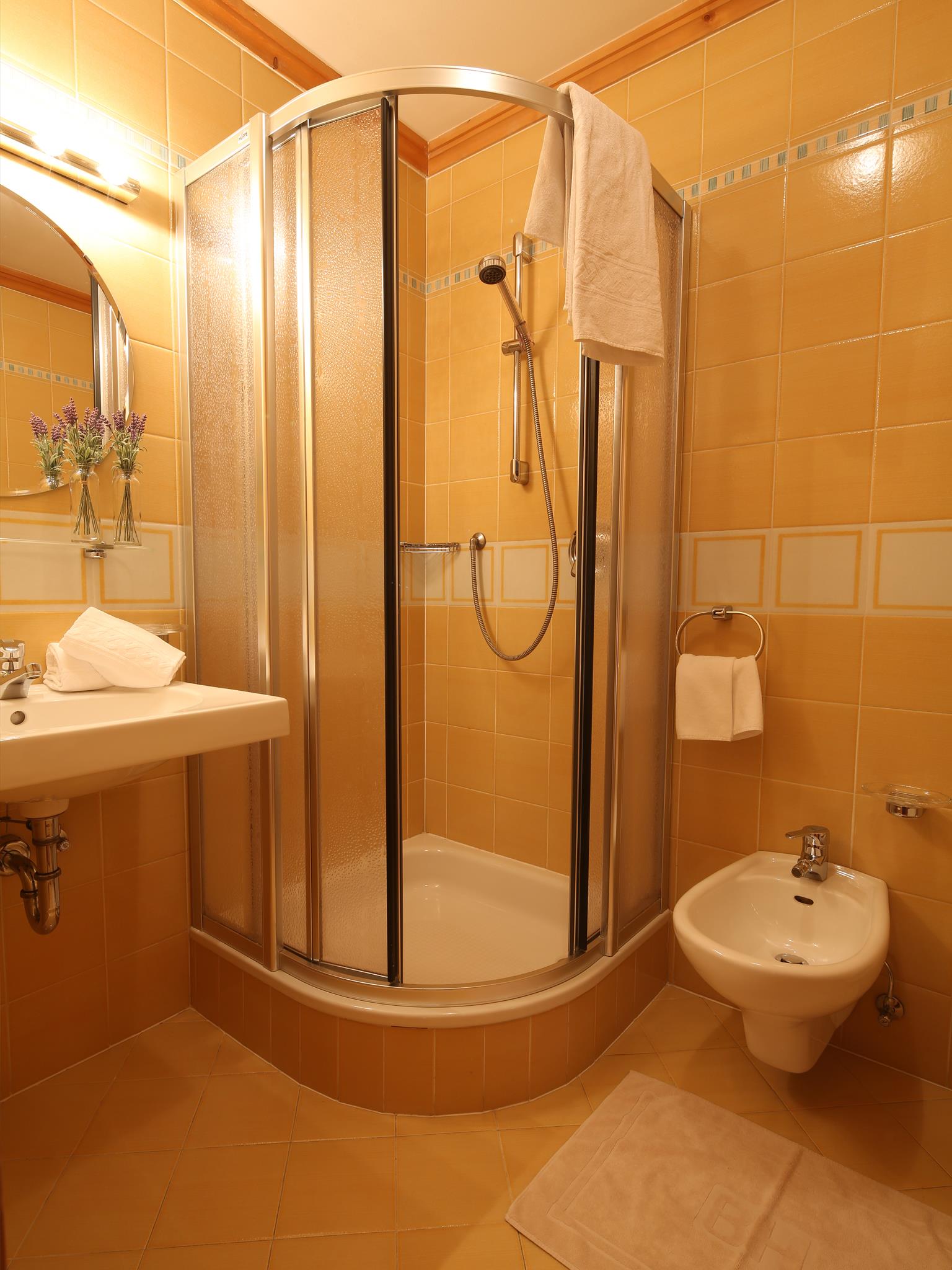 Appartamenti Rose San Candido 8 suedtirol.info