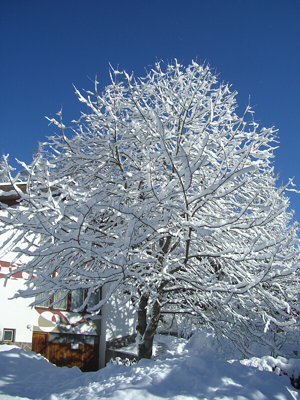 Appartements Alpengruss - Dolomitenregion 3 Zinnen - #18 - suedtirol.info